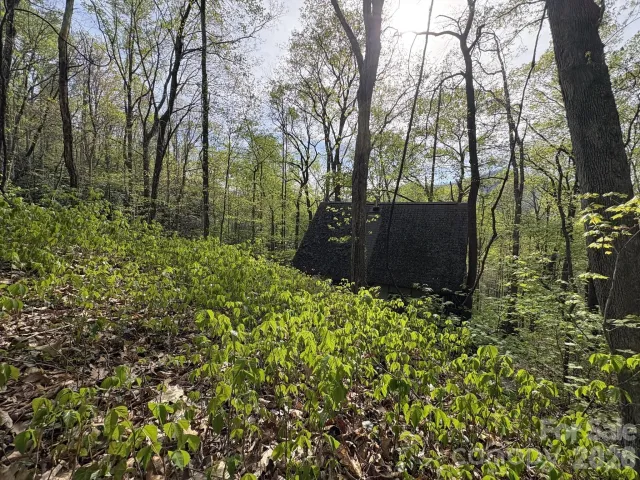 999999 Harwood Road, Barnardsville, NC, 28709