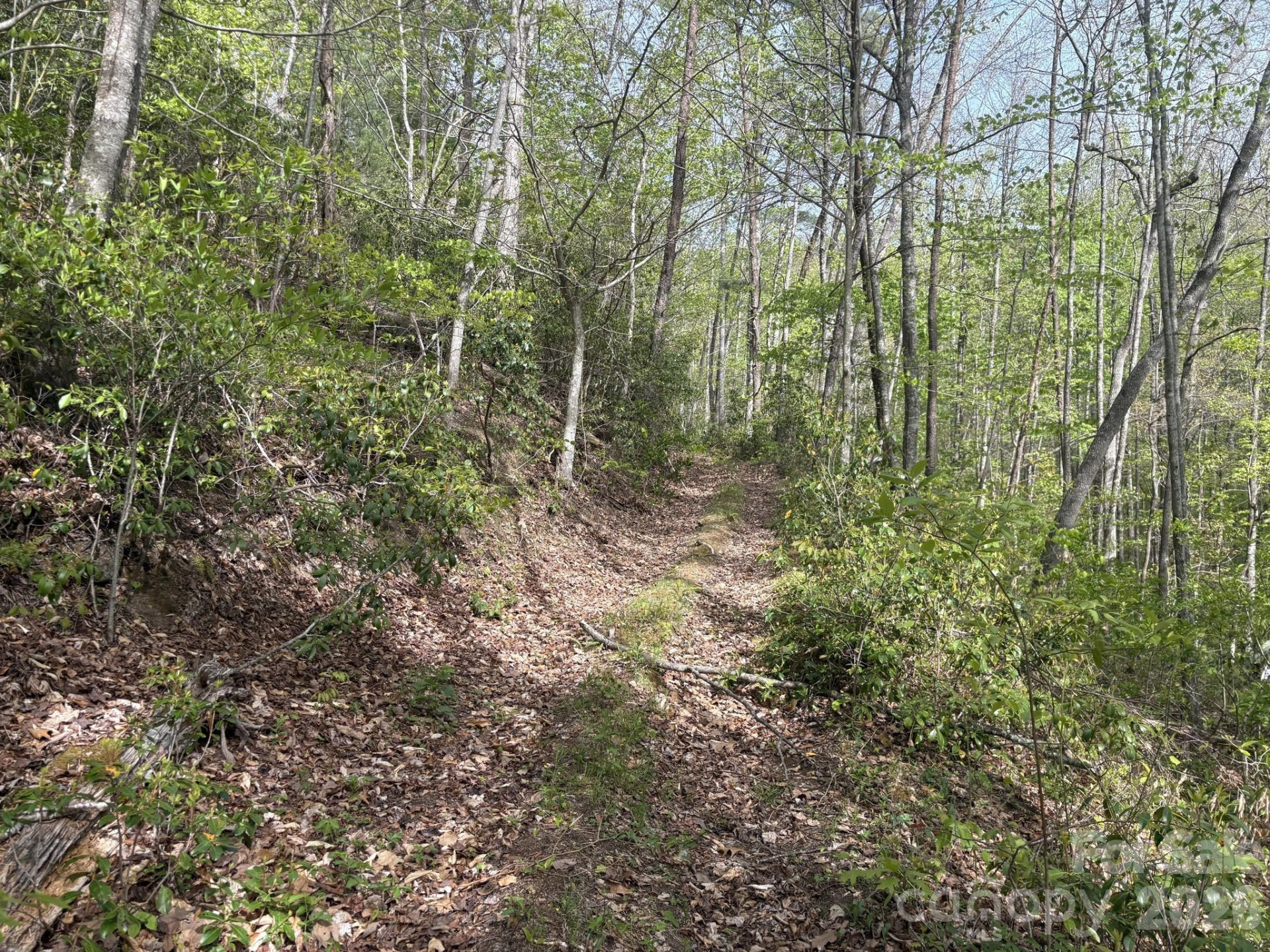 999999 Harwood Road - Photo 11