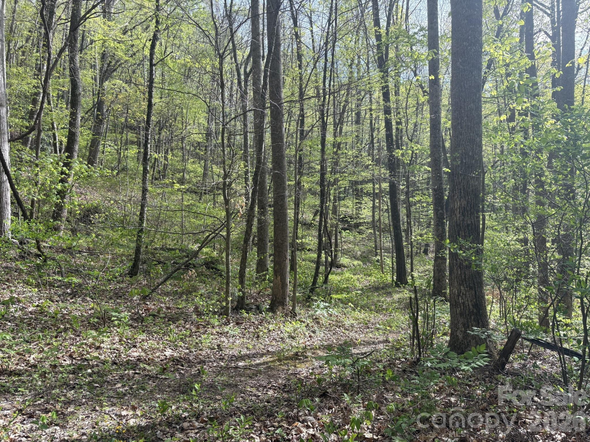 999999 Harwood Road - Photo 12