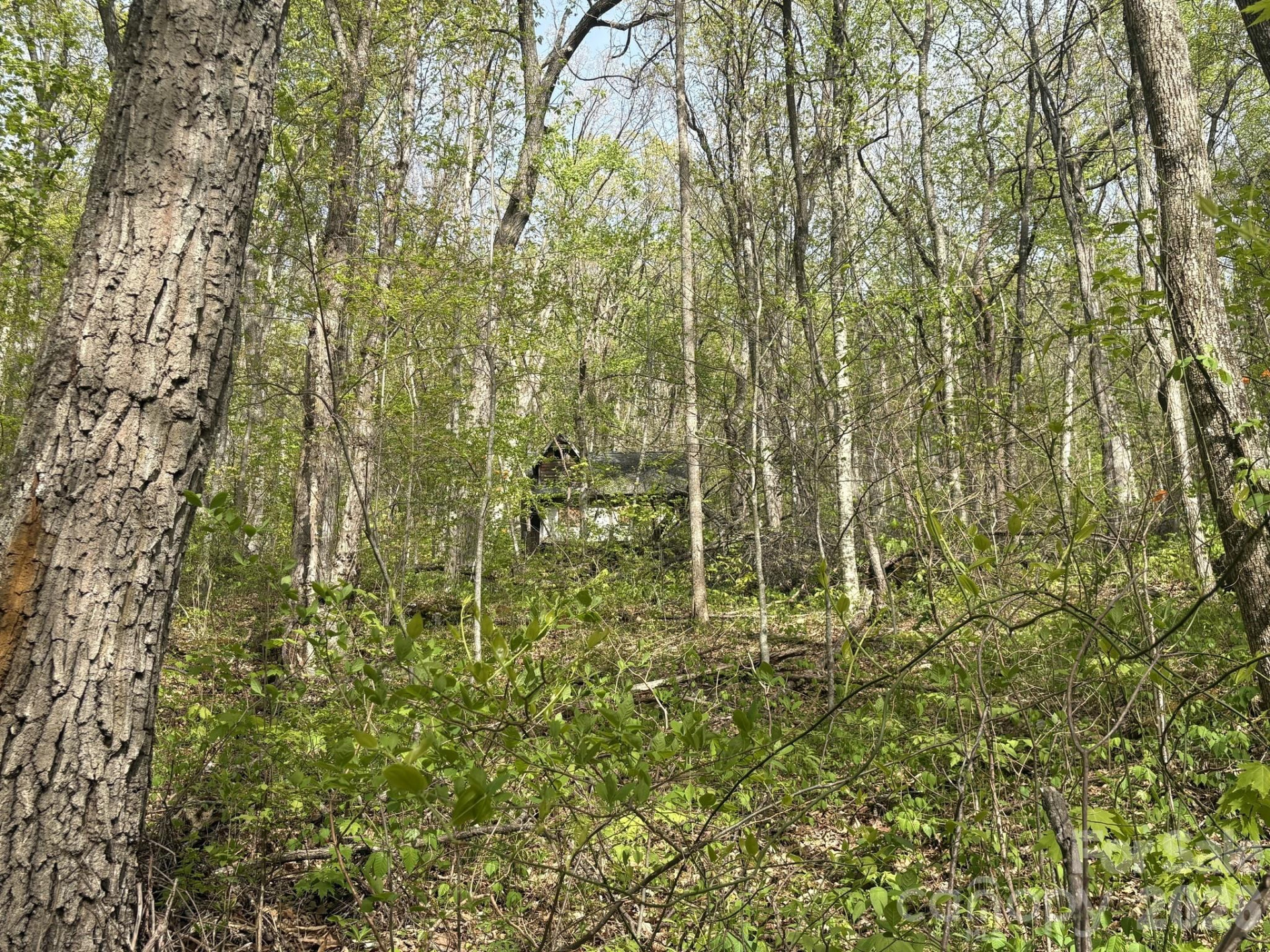 999999 Harwood Road - Photo 13