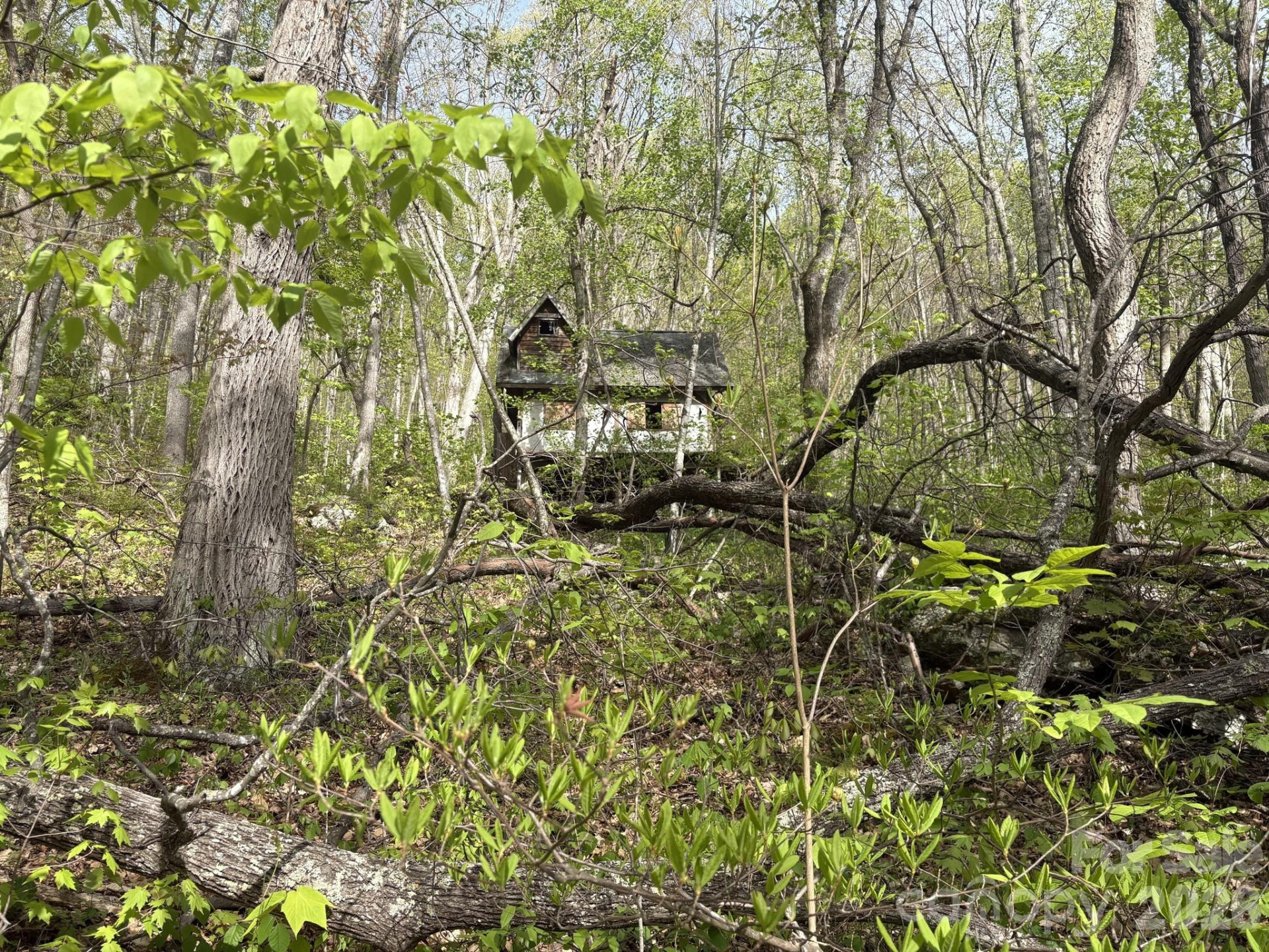 999999 Harwood Road - Photo 14