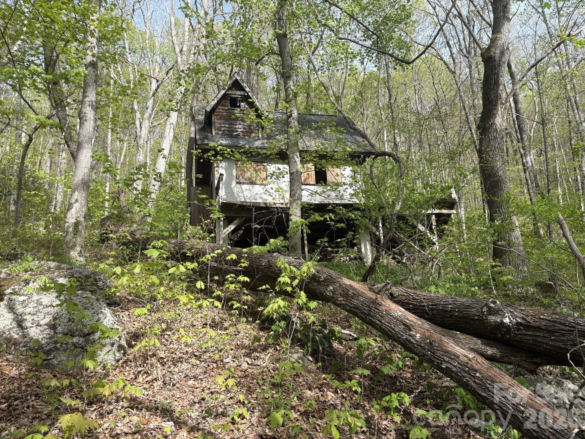 999999 Harwood Road - Photo 15