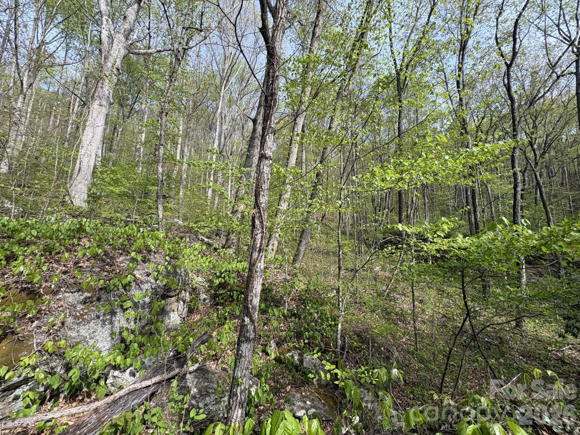 999999 Harwood Road - Photo 25