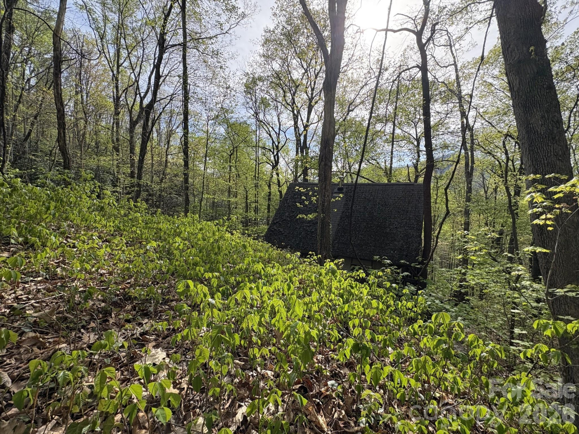 999999 Harwood Road - Photo 26