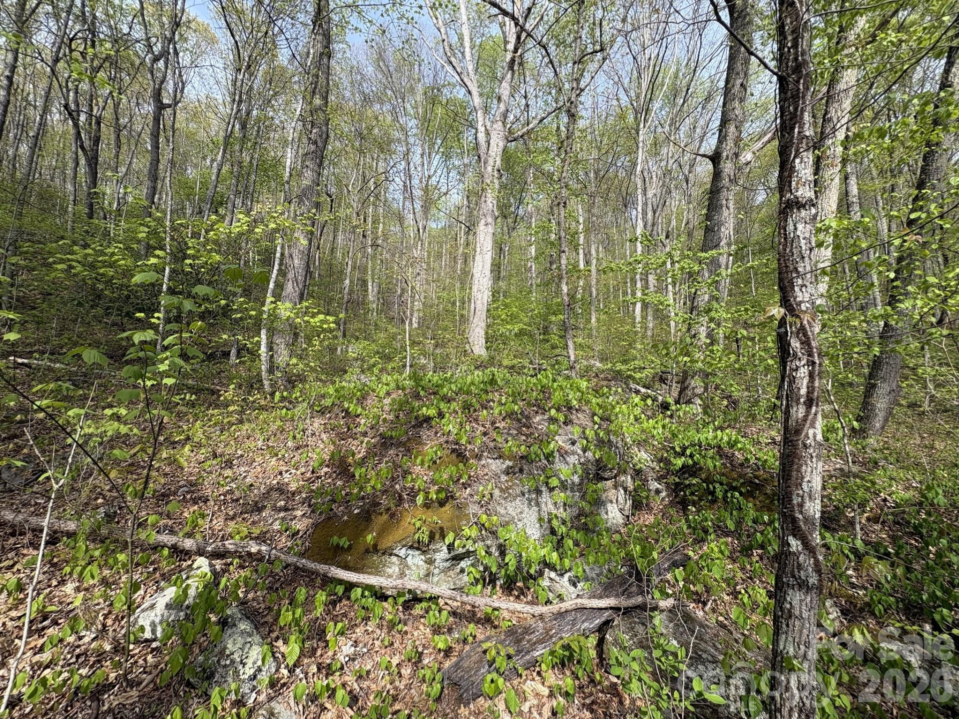 999999 Harwood Road - Photo 27