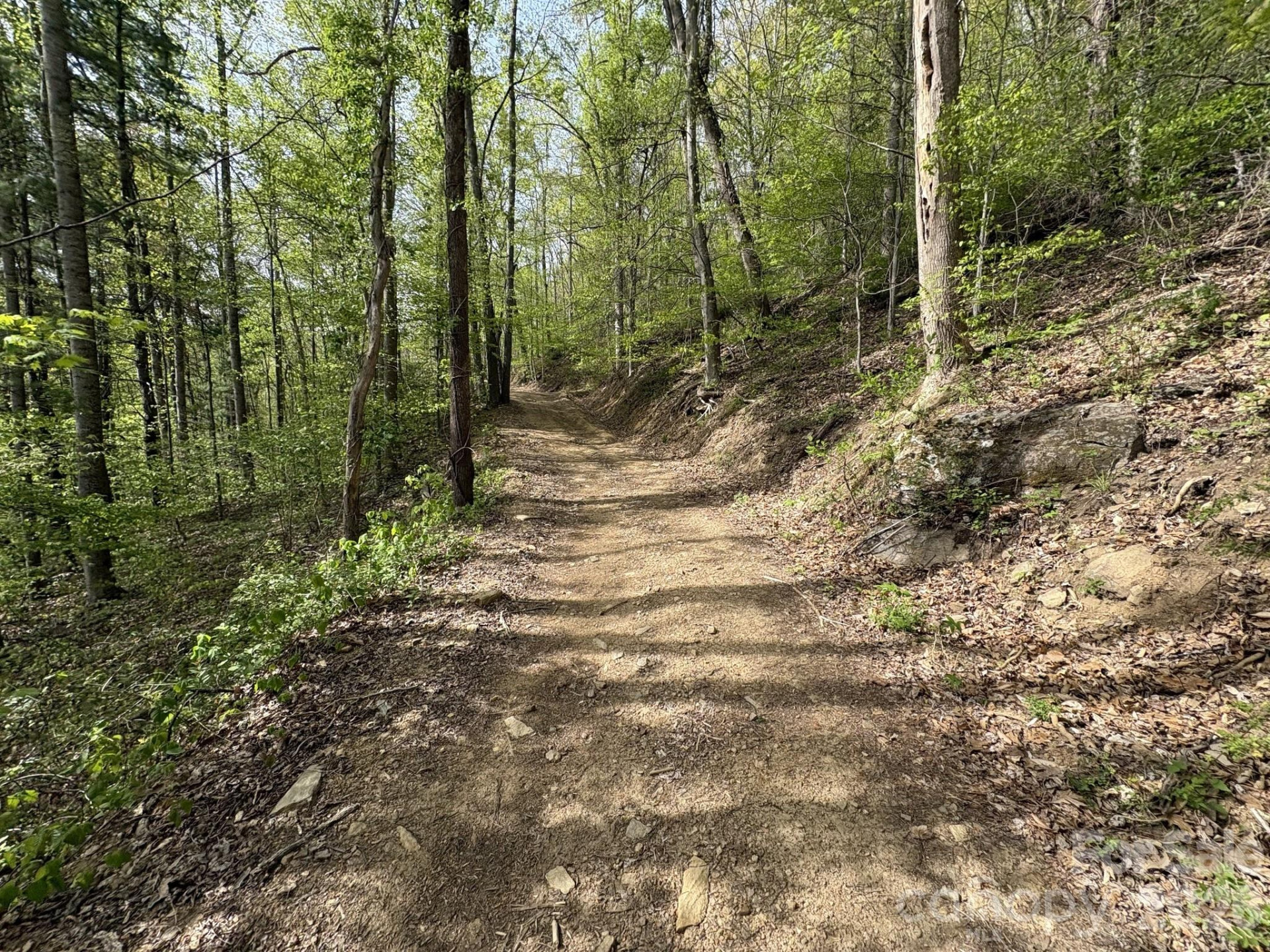 999999 Harwood Road - Photo 4