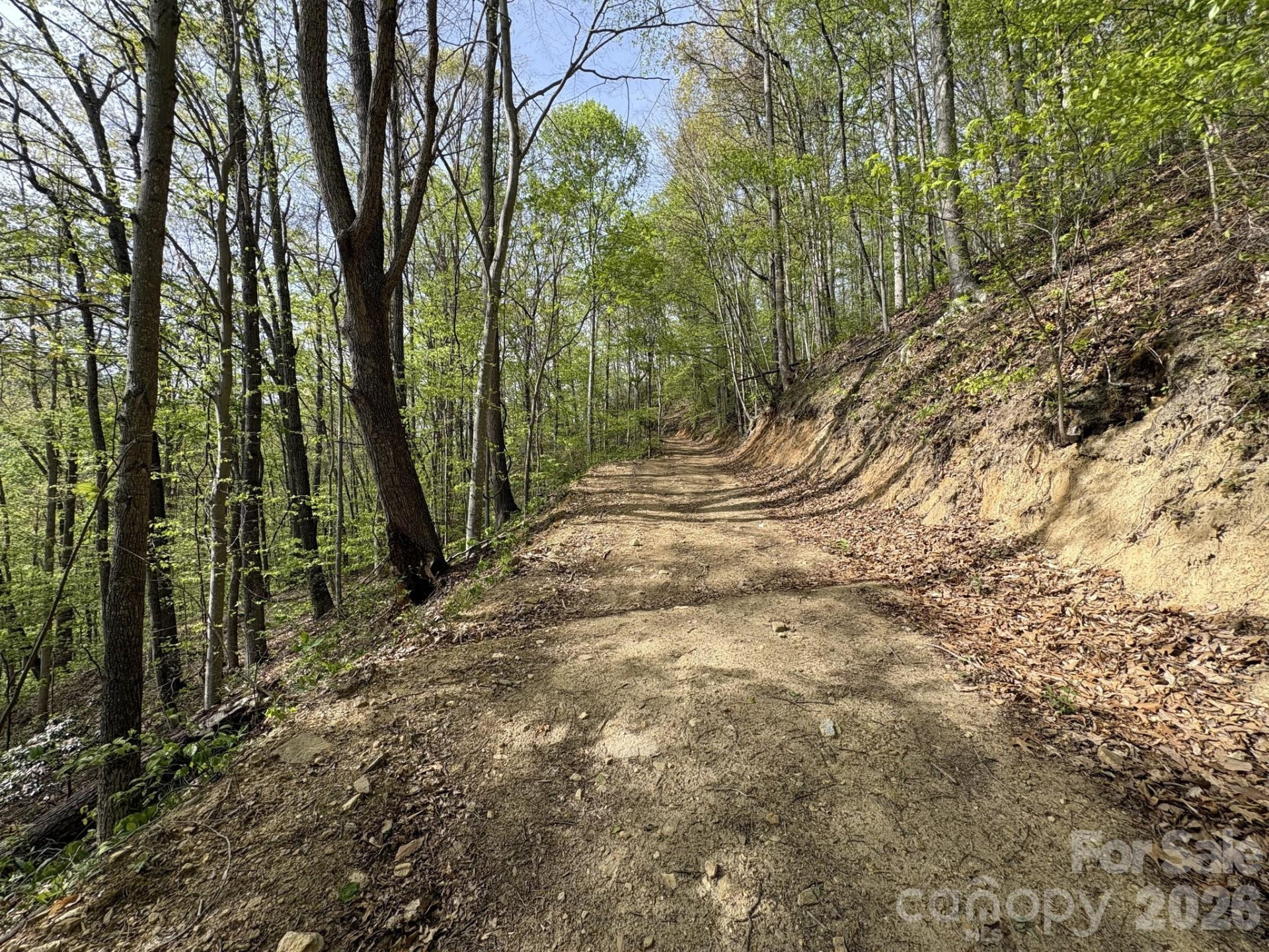 999999 Harwood Road - Photo 5