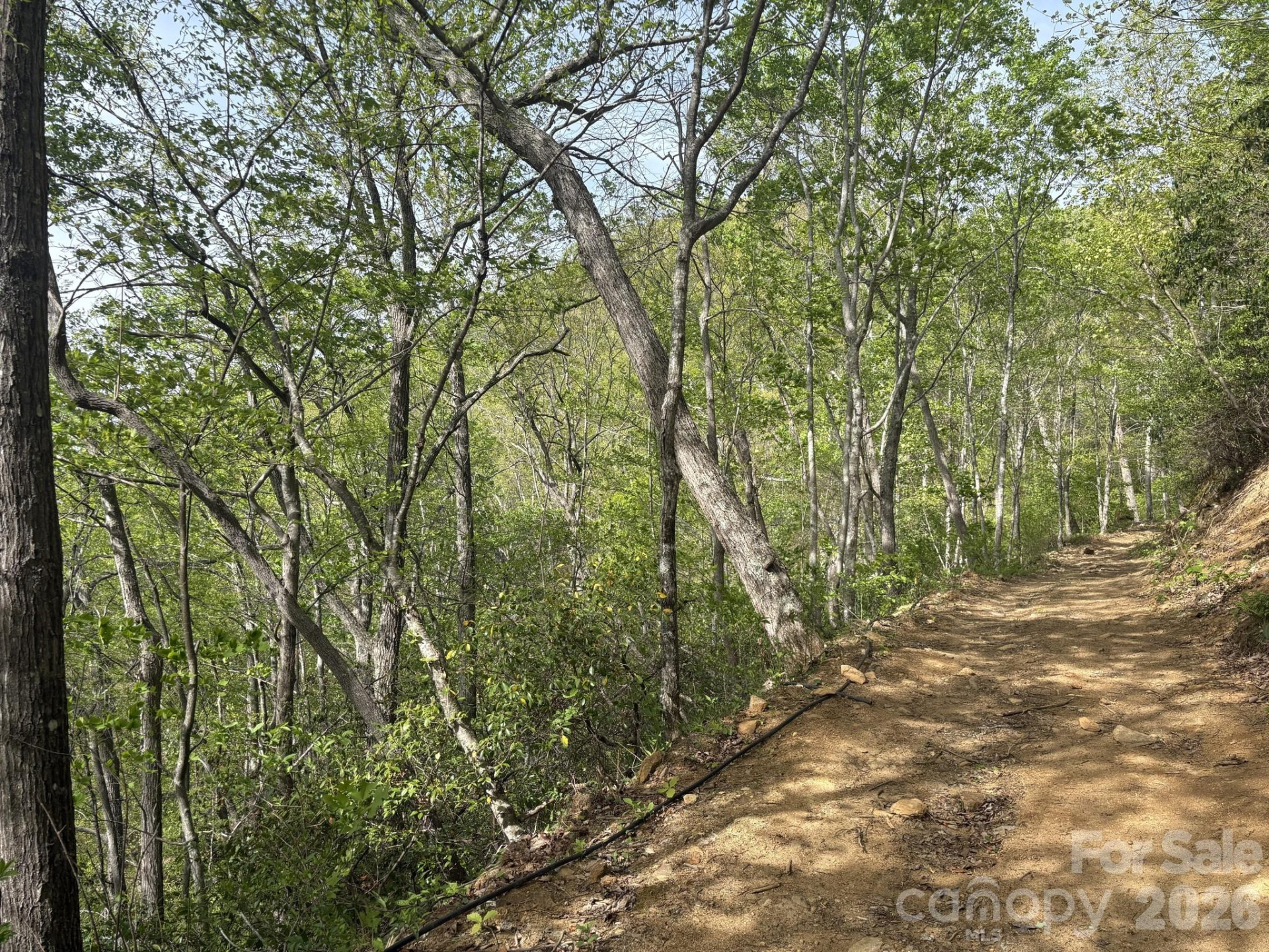 999999 Harwood Road - Photo 6