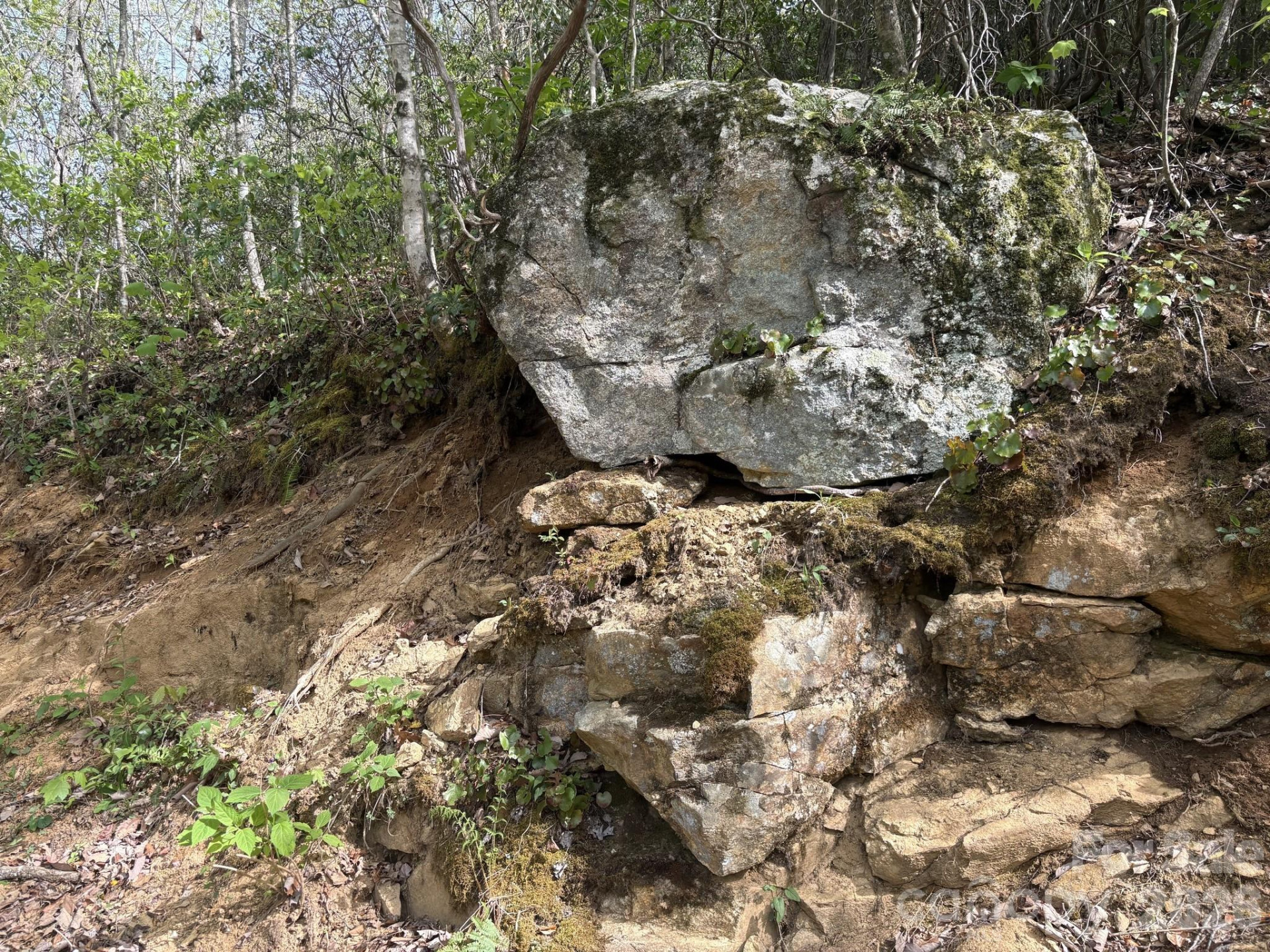 999999 Harwood Road - Photo 7