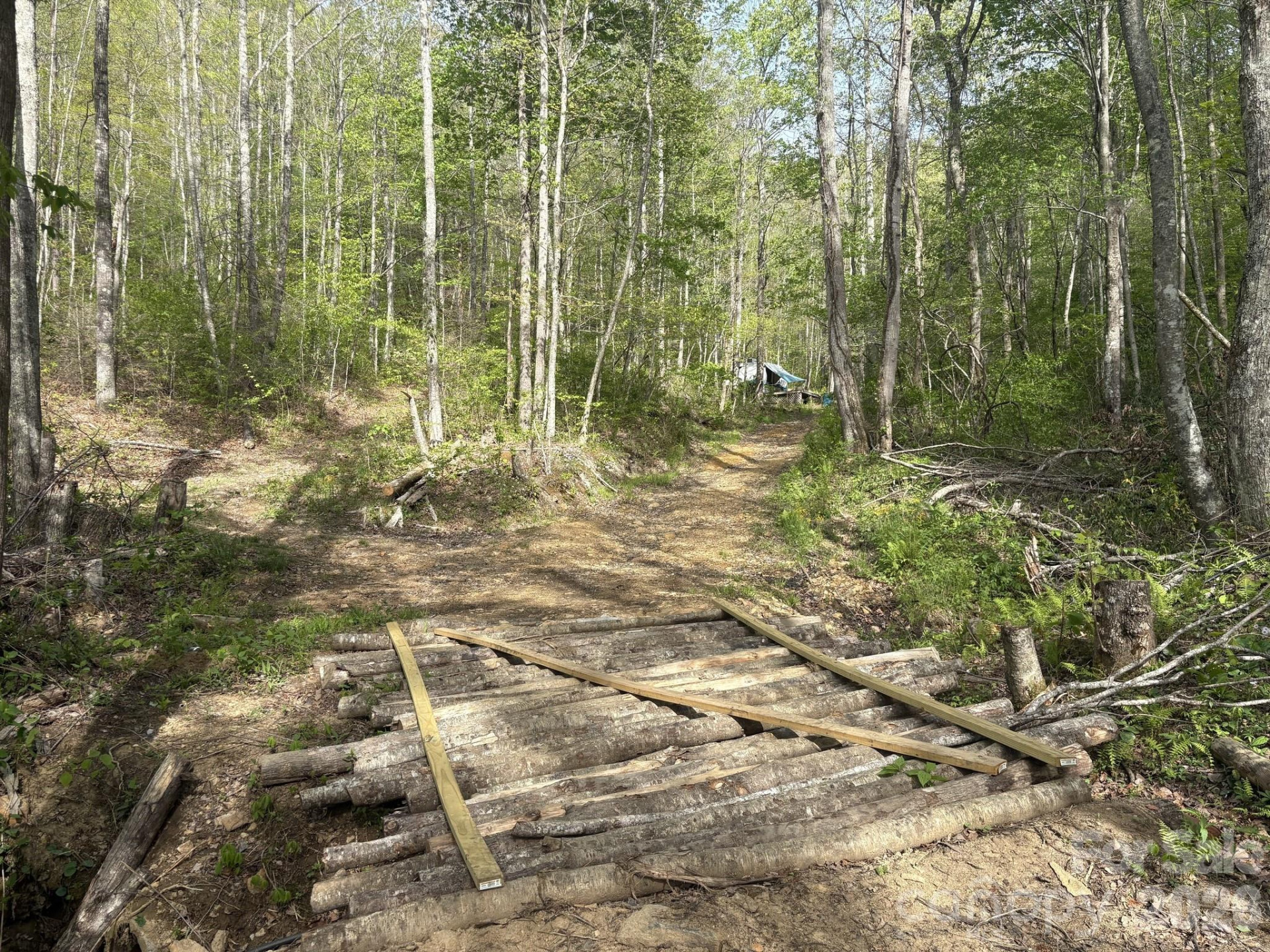 999999 Harwood Road - Photo 8