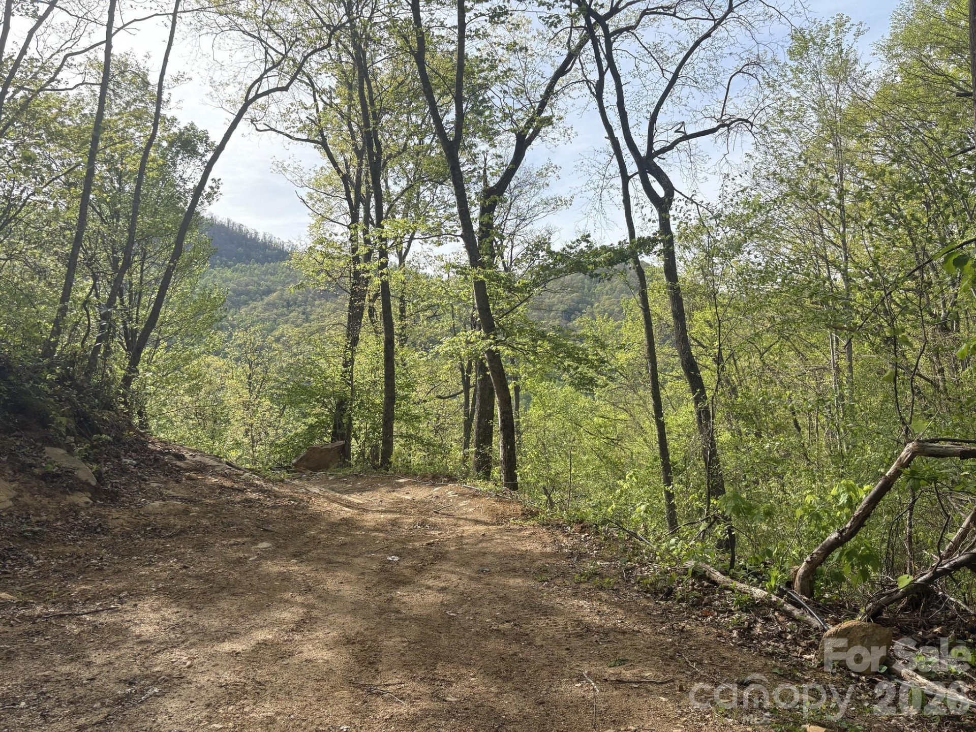 999999 Harwood Road - Photo 9