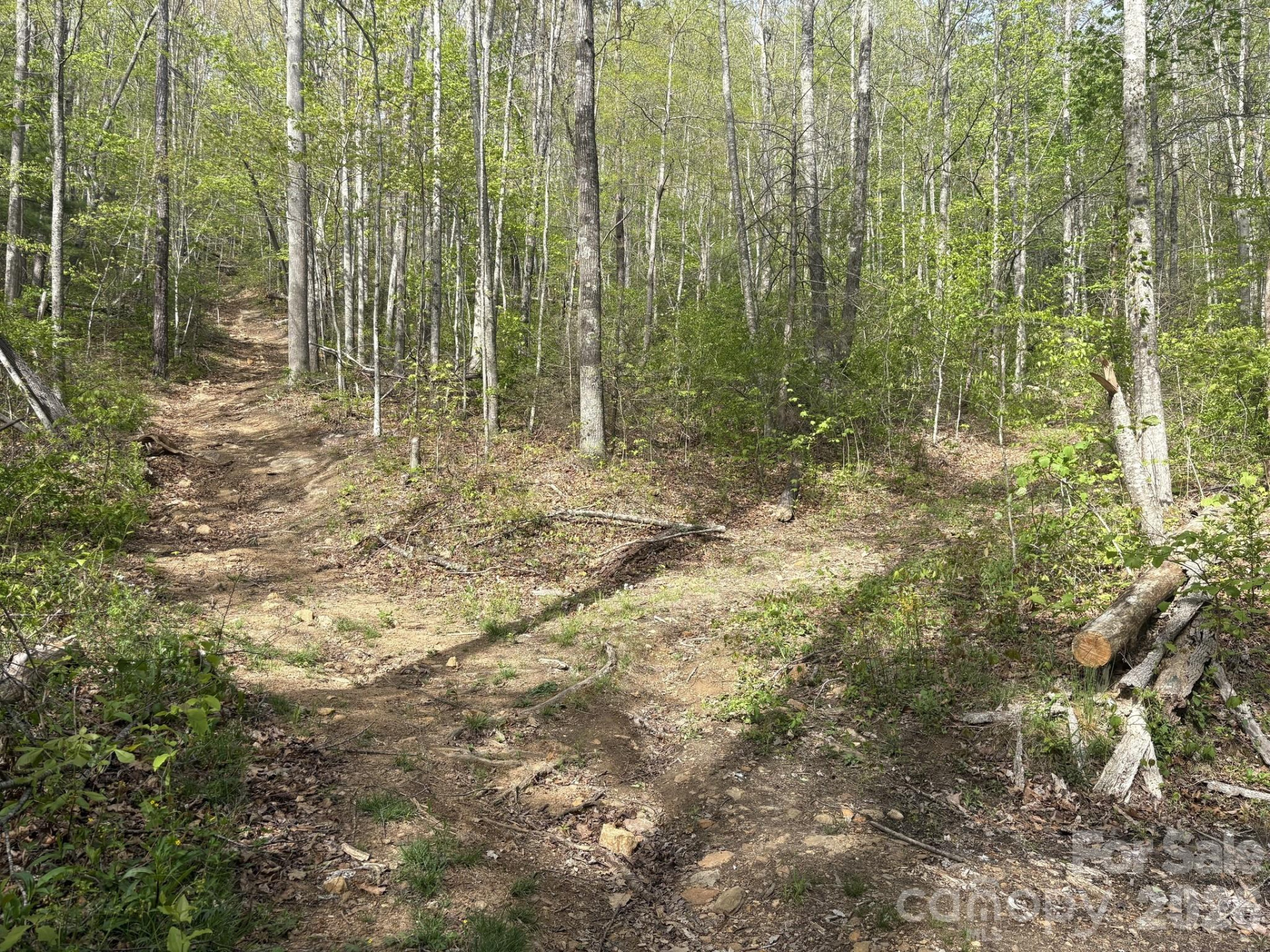 999999 Harwood Road - Photo 10