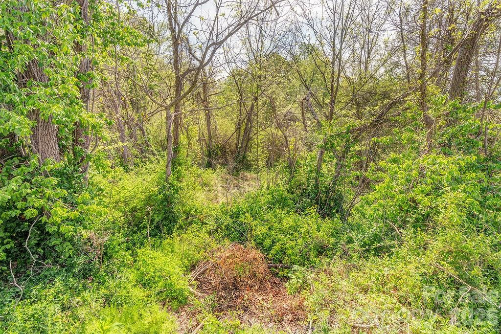 99999 Deavermont Circle - Photo 4