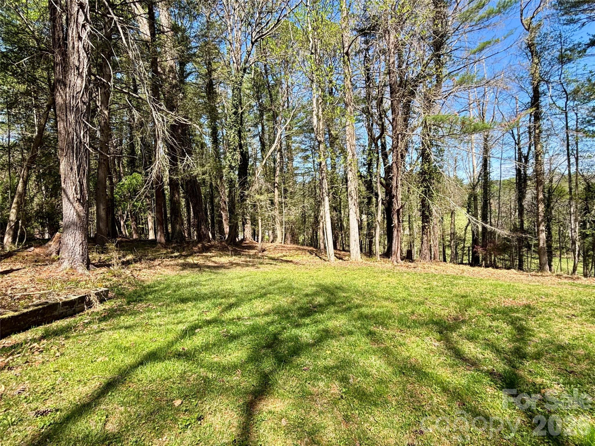 20 White Squirrel Lane - Photo 26