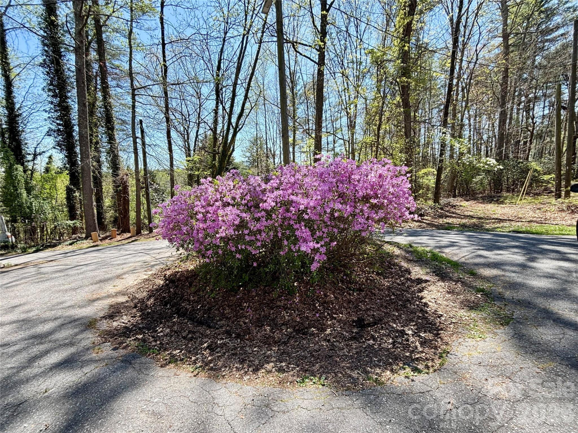 20 White Squirrel Lane - Photo 27