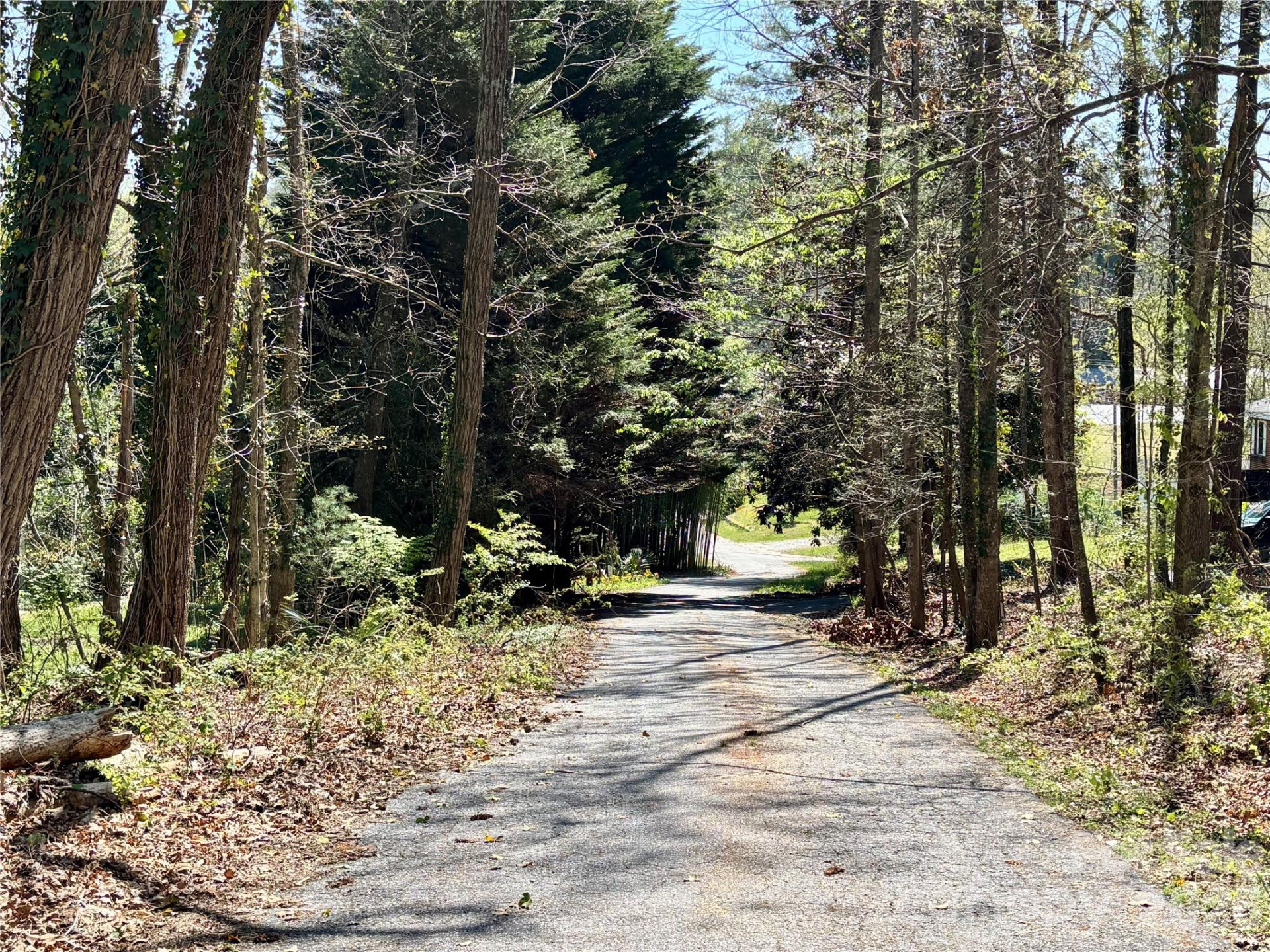 20 White Squirrel Lane - Photo 28