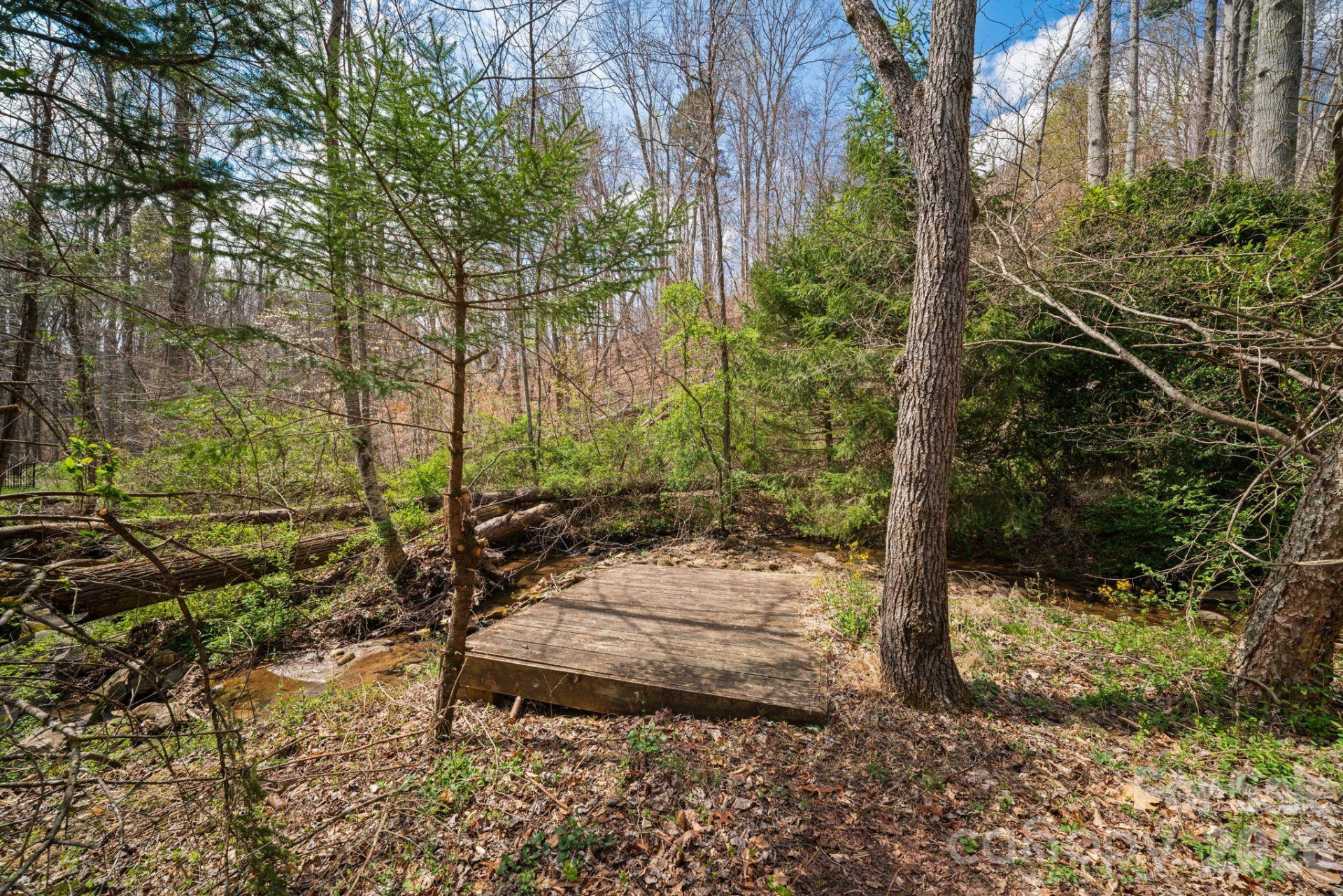 104 Black Hawk Ridge - Photo 32