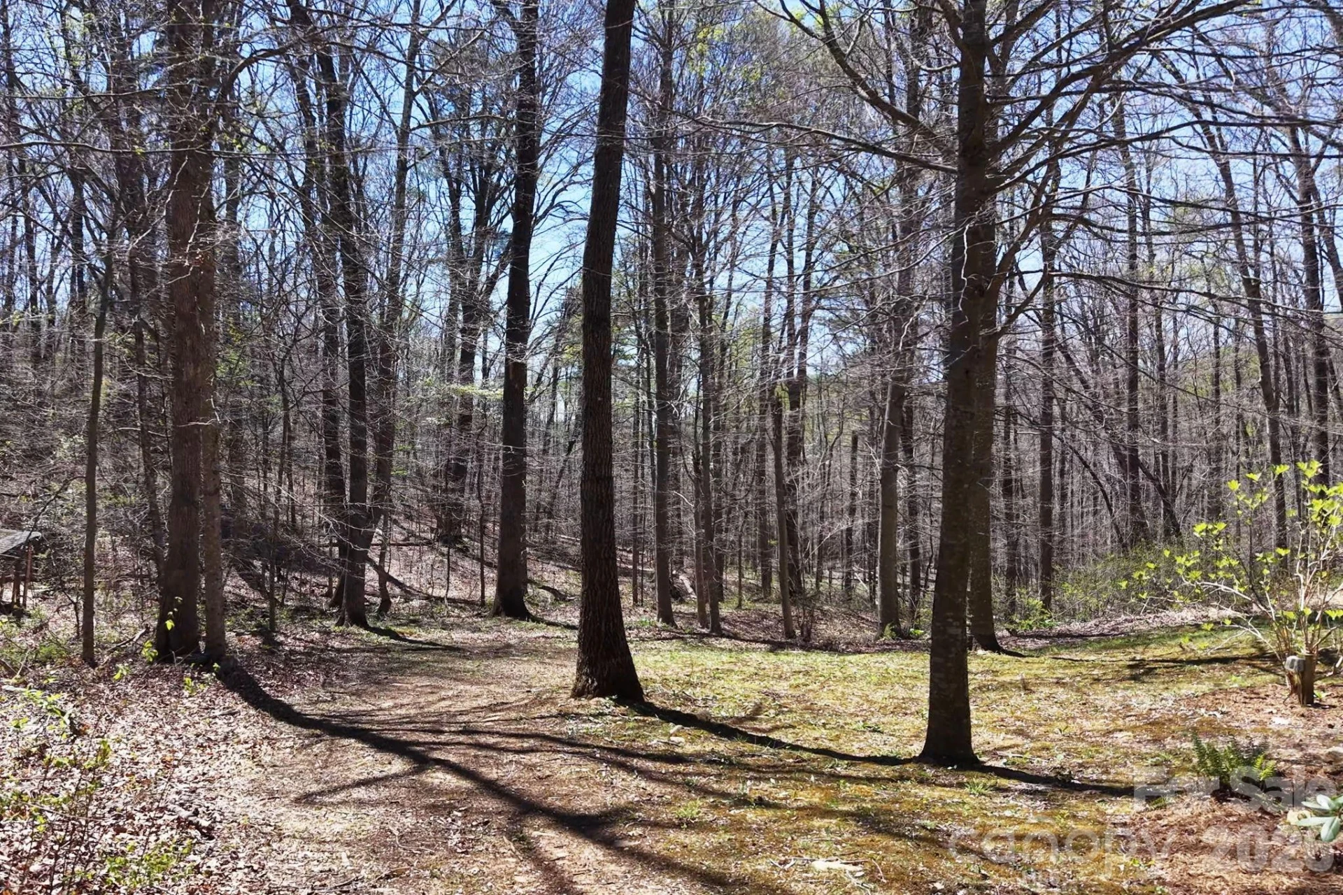 257 Jones Cove Road - Photo 47