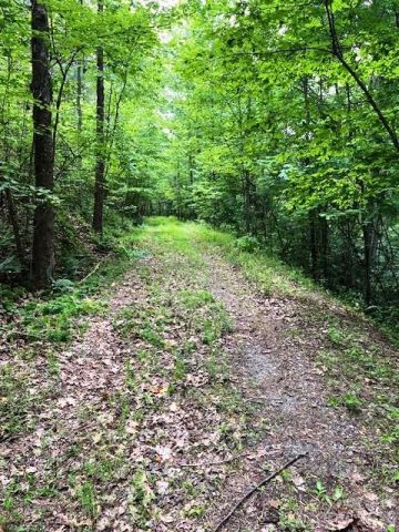 Lot 46 Lake Adger Parkway