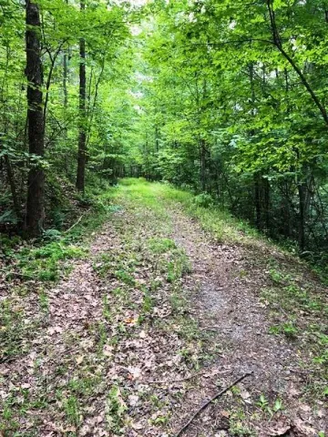 Lot 46 Lake Adger Parkway, Mill Spring, NC, 28756