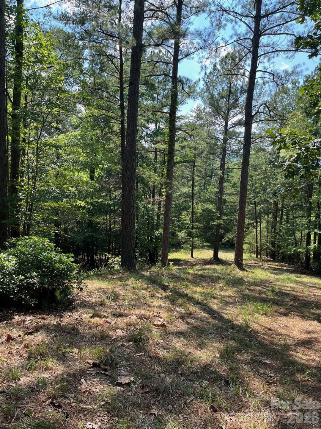Lot 46 Lake Adger Parkway - Photo 11