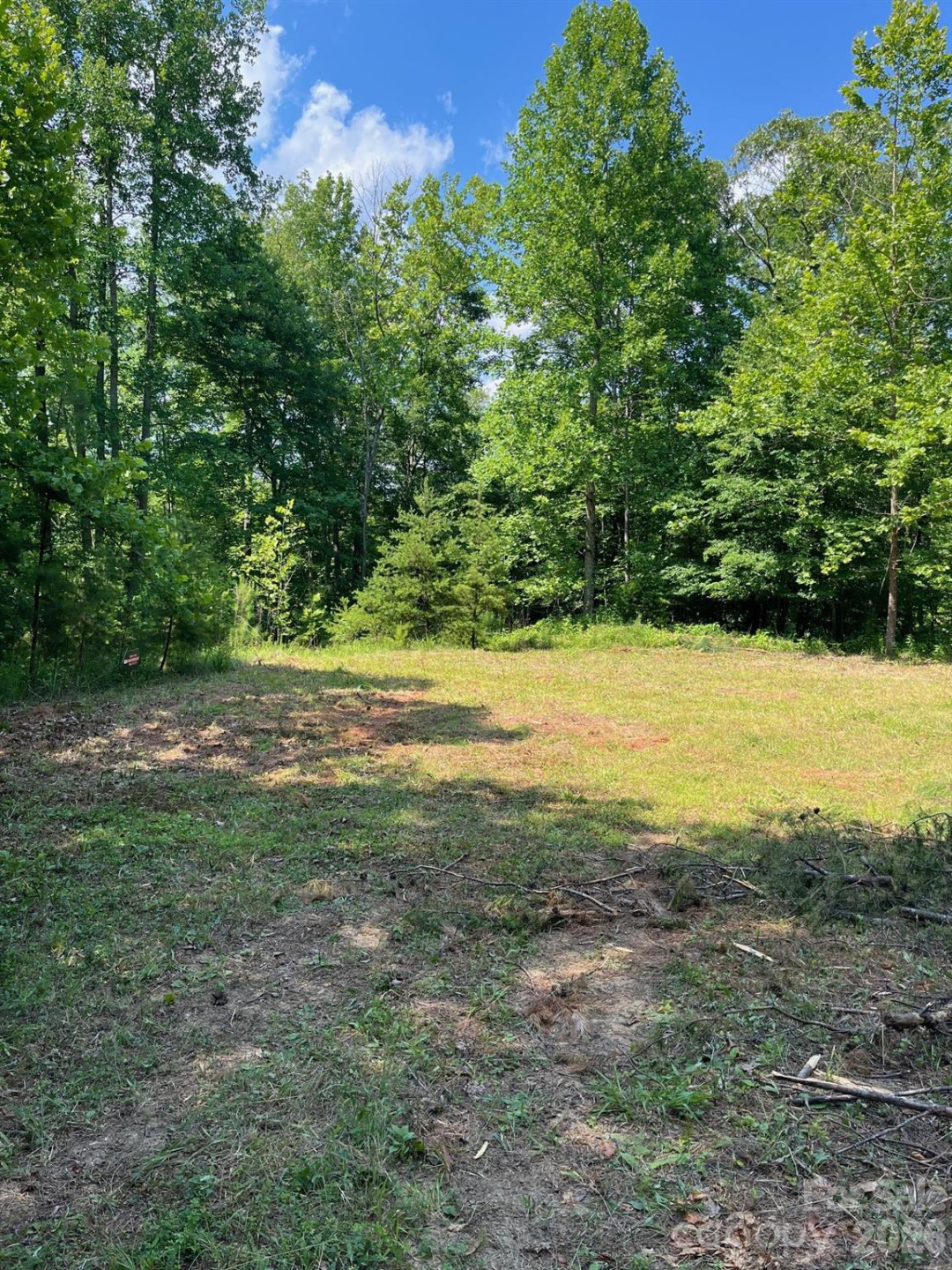Lot 46 Lake Adger Parkway - Photo 12