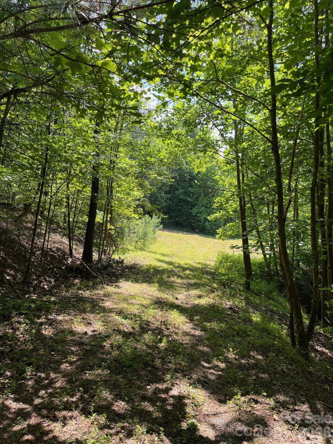 Lot 46 Lake Adger Parkway - Photo 13
