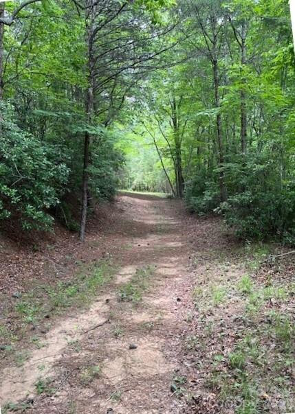 Lot 46 Lake Adger Parkway - Photo 4