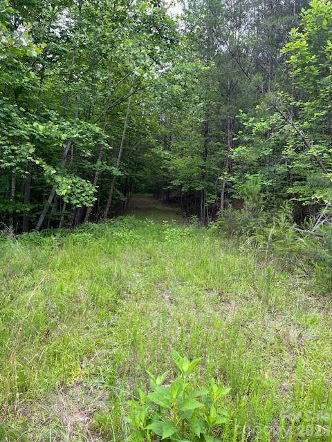 Lot 46 Lake Adger Parkway - Photo 5