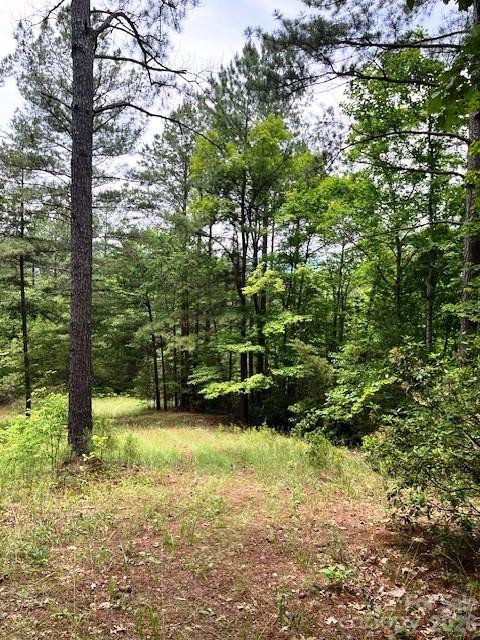 Lot 46 Lake Adger Parkway - Photo 6