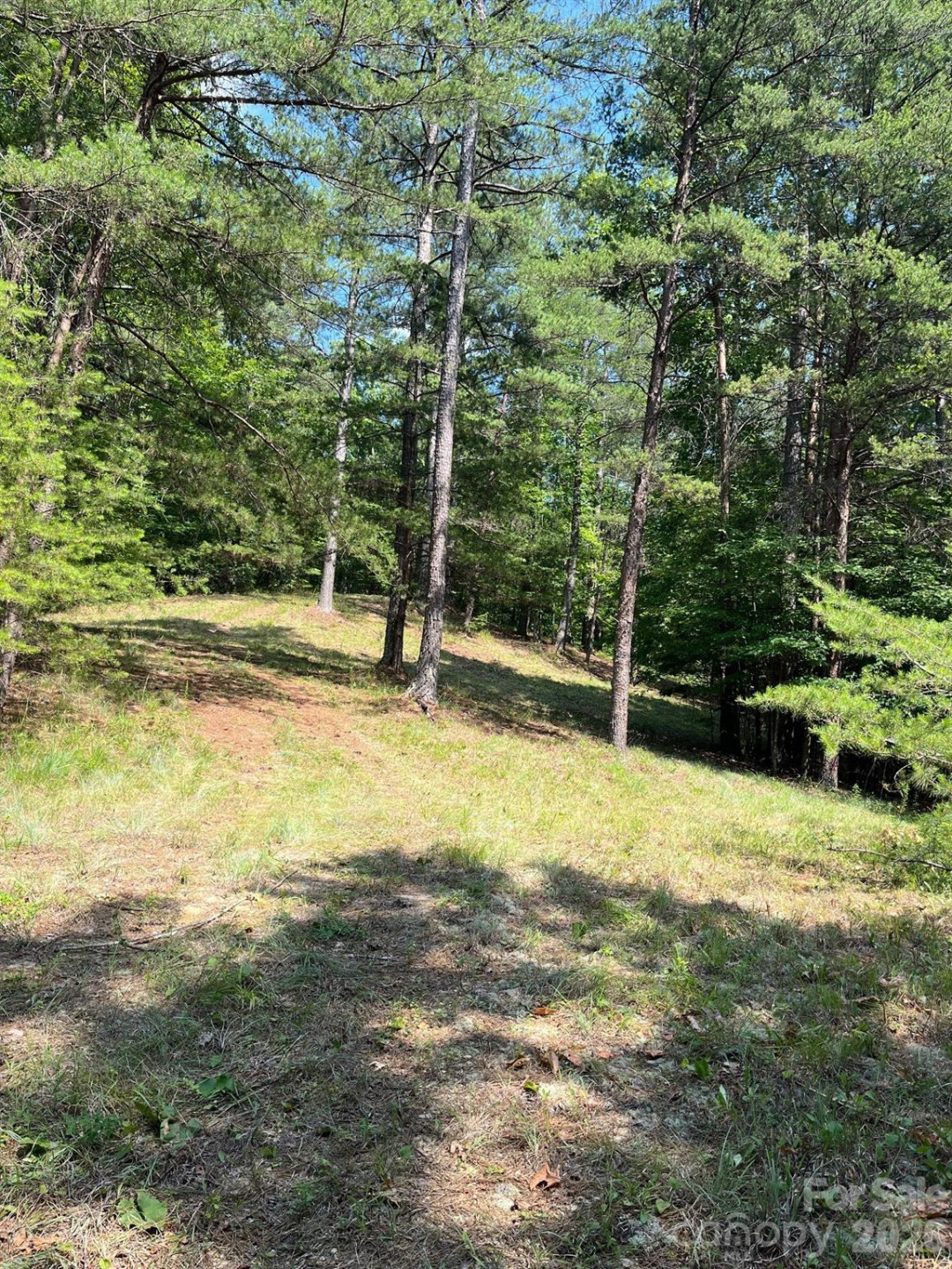 Lot 46 Lake Adger Parkway - Photo 7