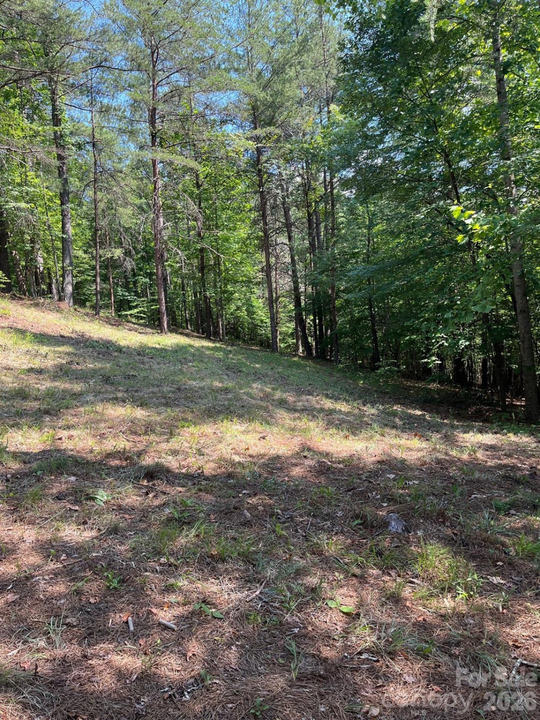 Lot 46 Lake Adger Parkway - Photo 8