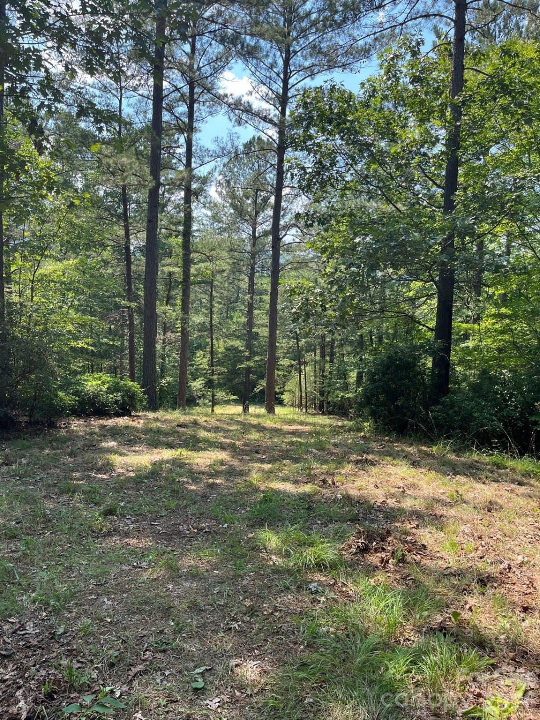 Lot 46 Lake Adger Parkway - Photo 9