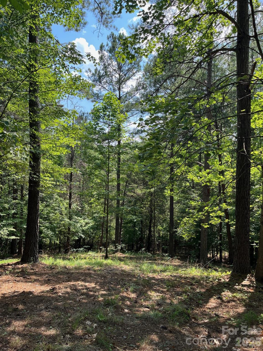 Lot 46 Lake Adger Parkway - Photo 10