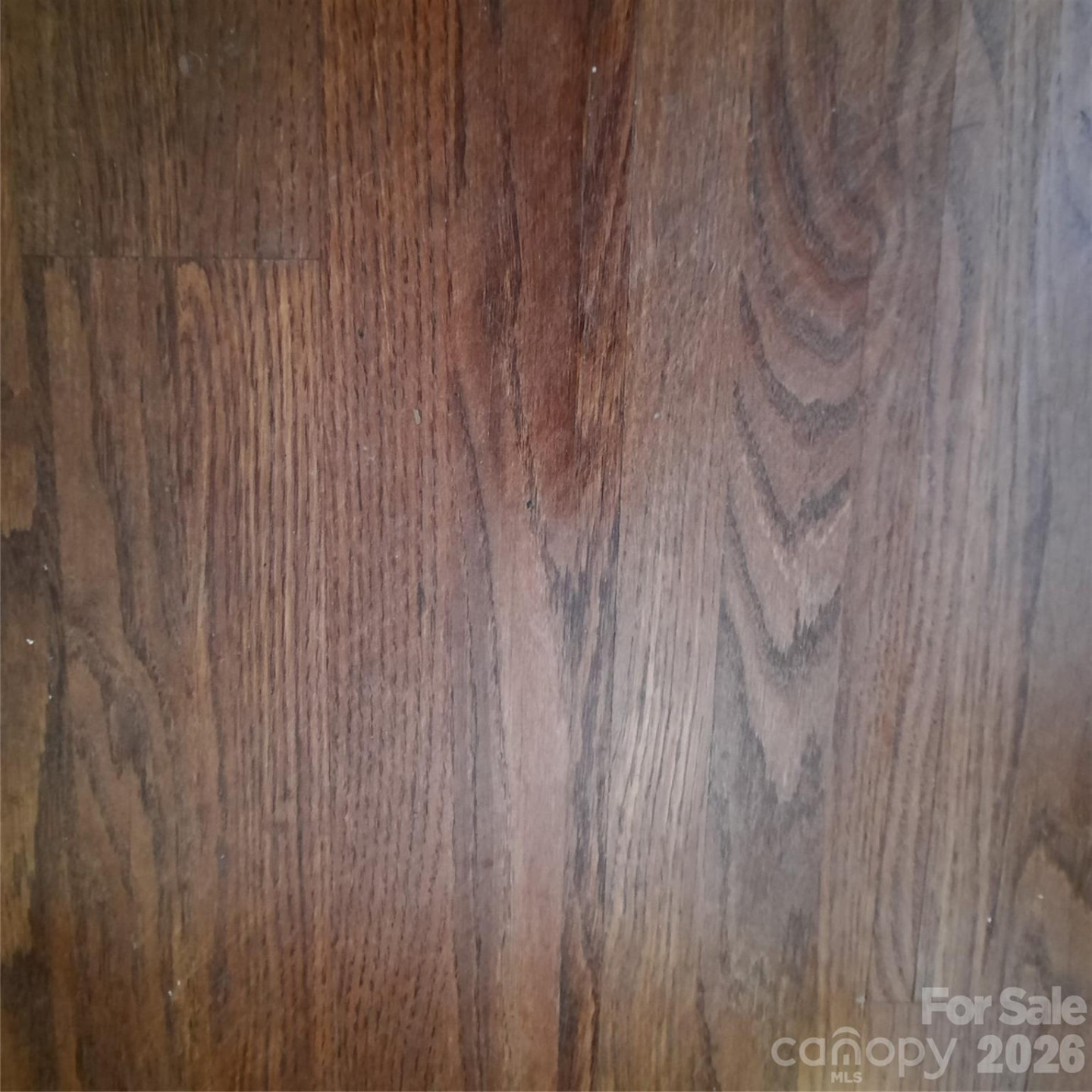 121 Ohara Circle - Photo 11