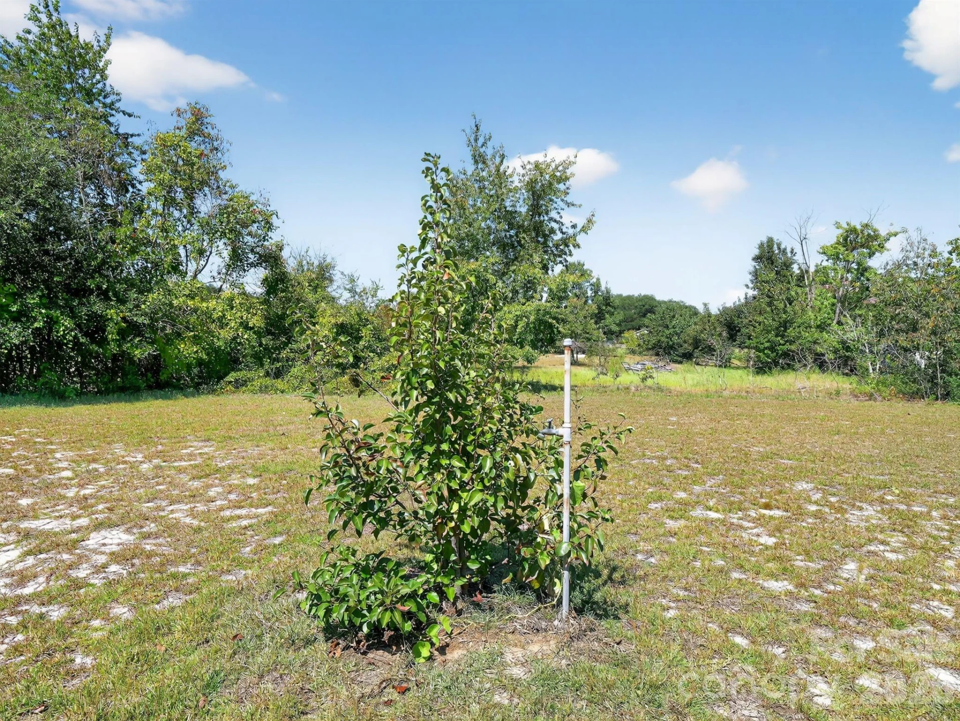 1035 Mcmillan Road - Photo 20