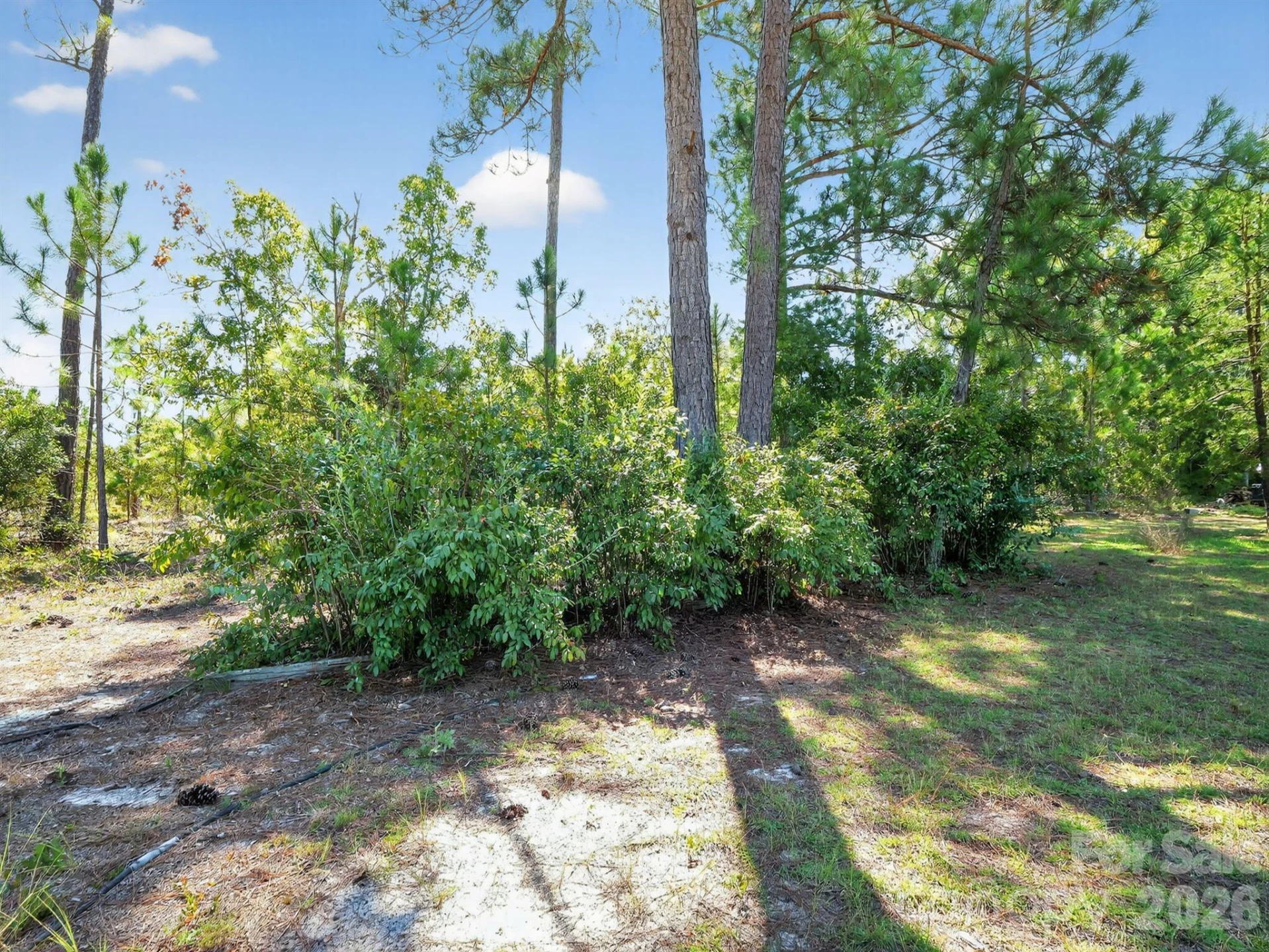 1035 Mcmillan Road - Photo 22