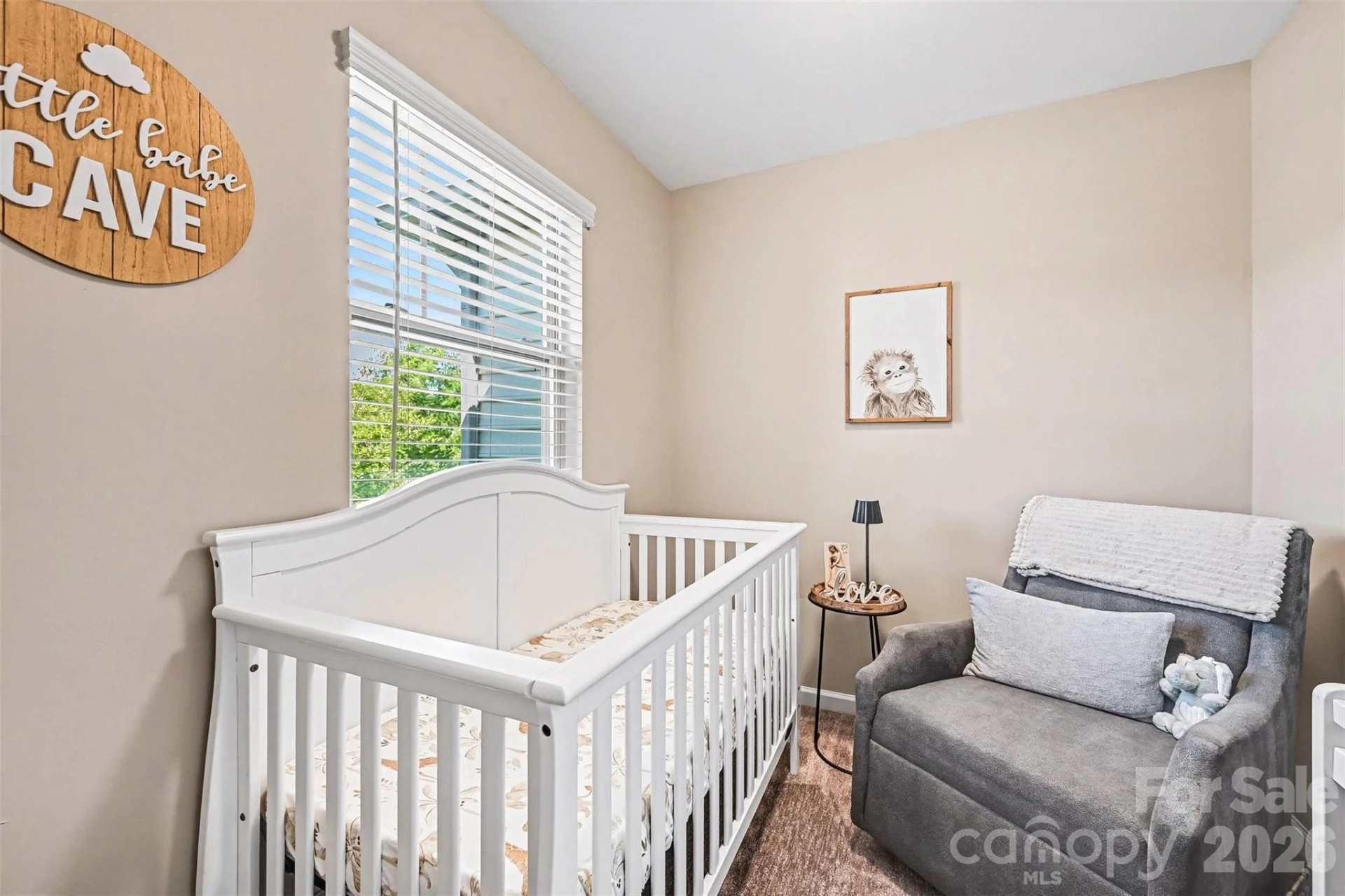 509 Common Raven Court - Photo 11
