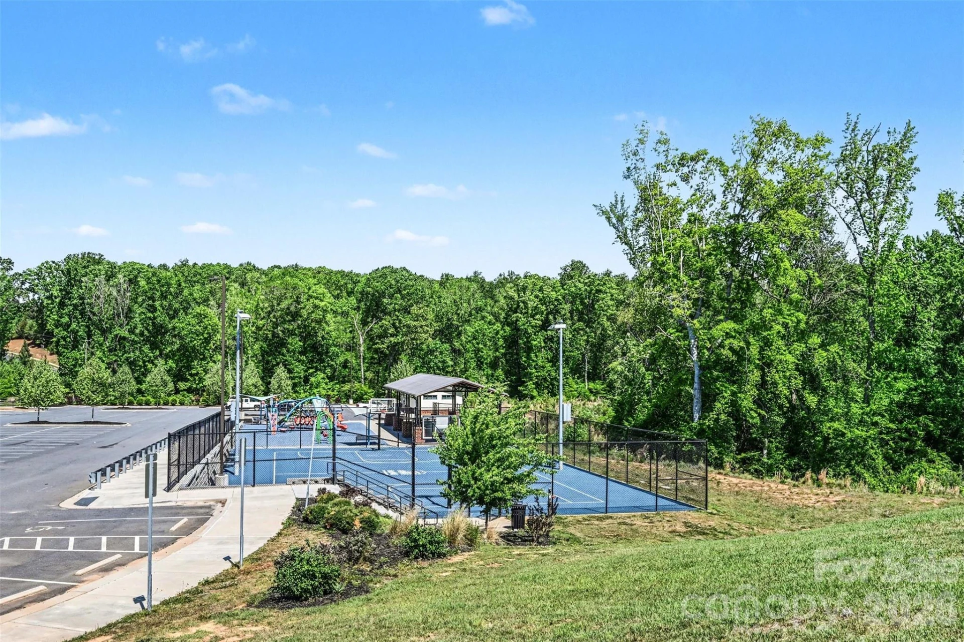 509 Common Raven Court - Photo 19