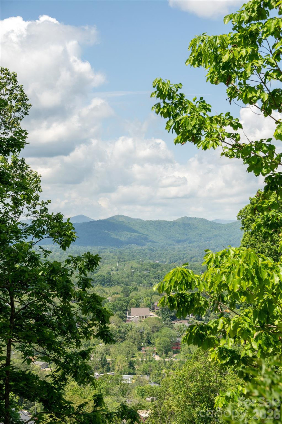 106 McCauley Drive - Photo 3