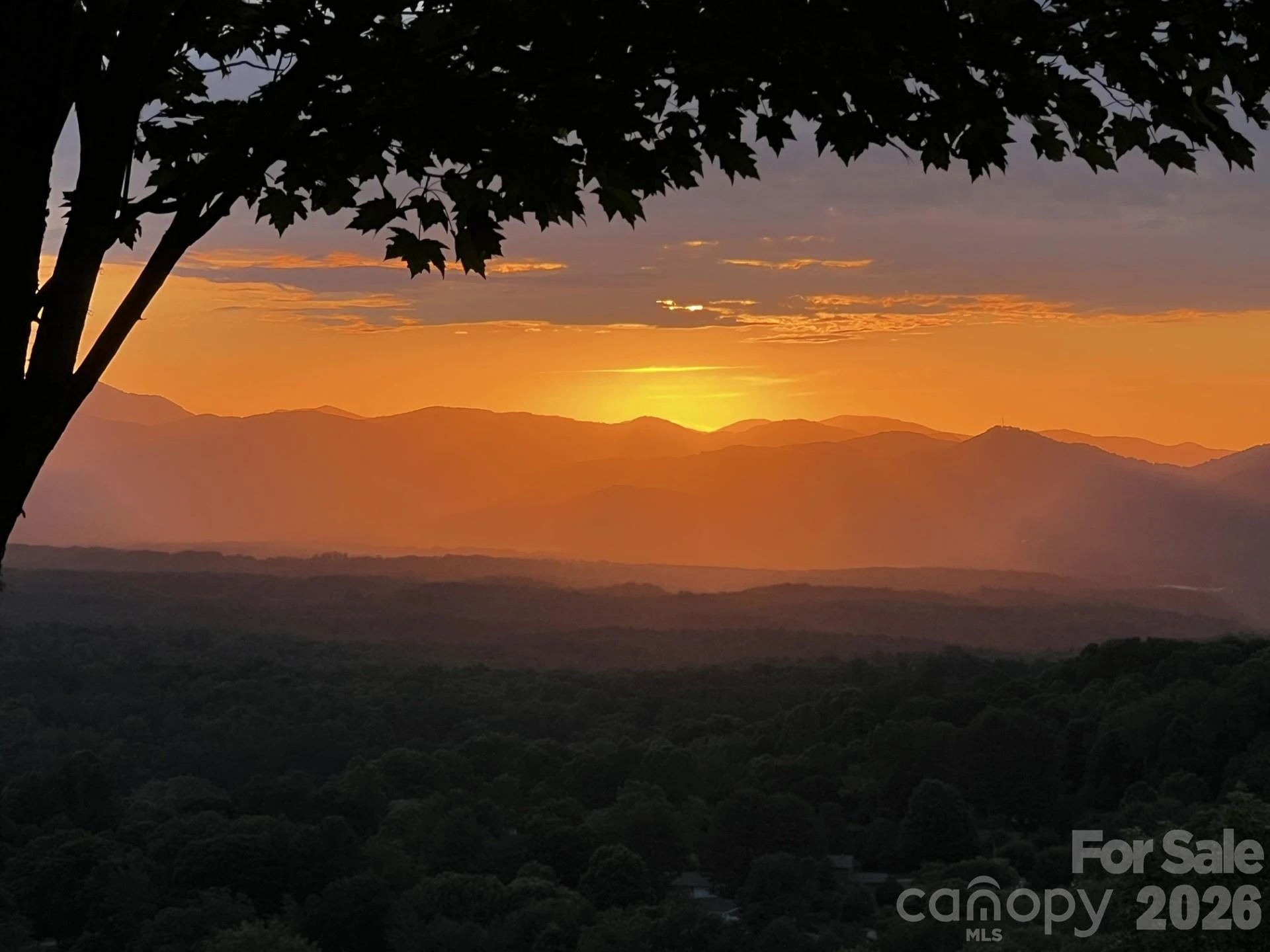 76 Distant View Drive - Photo 8