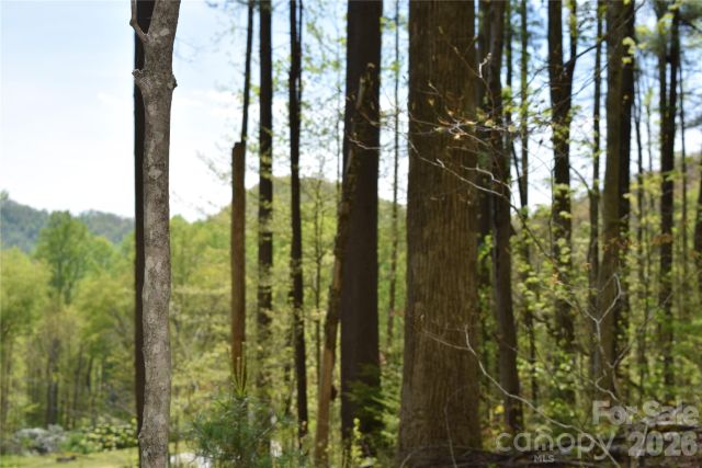 TBD Cabin Flats Road, Balsam, NC, 28707