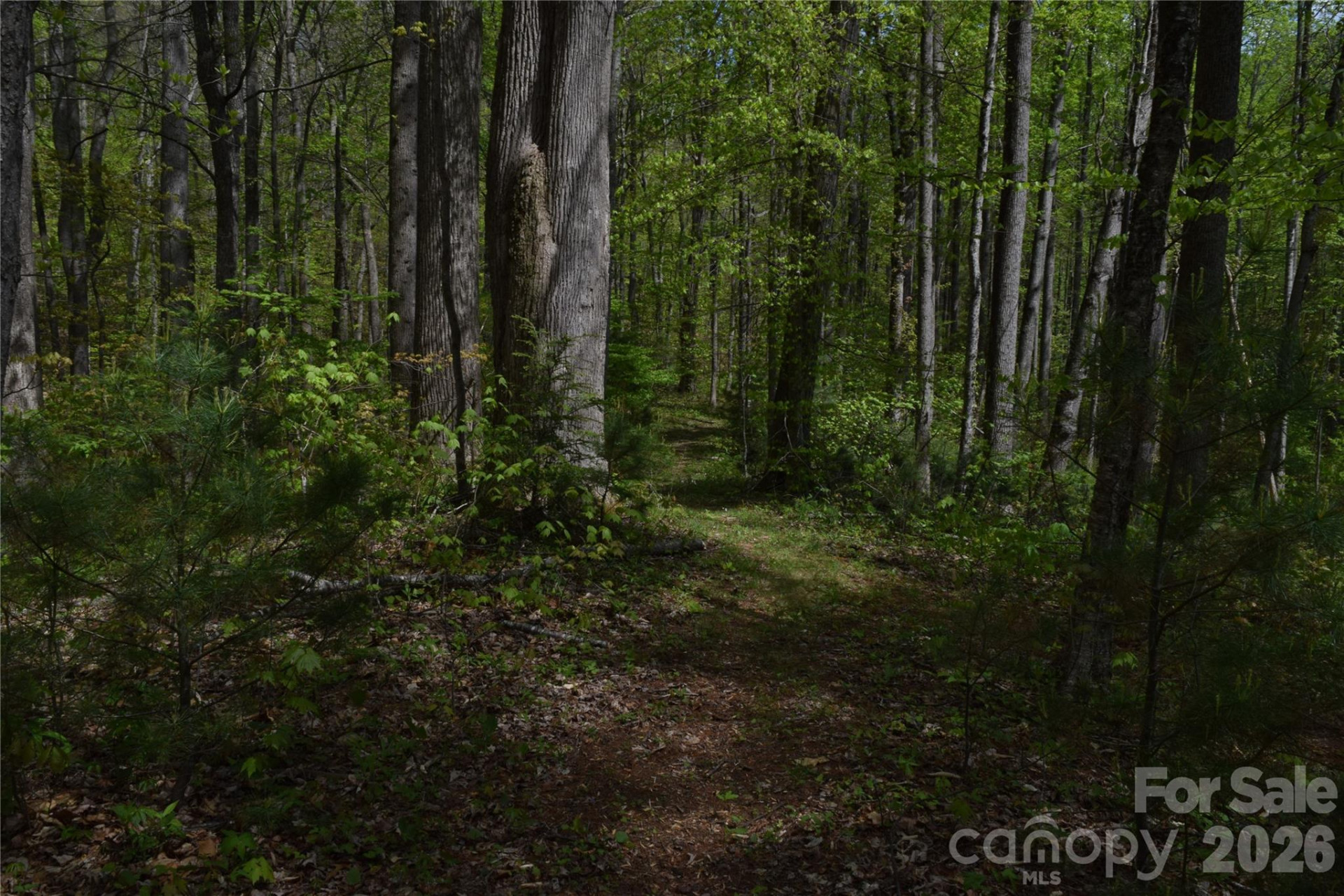 TBD Cabin Flats Road - Photo 11