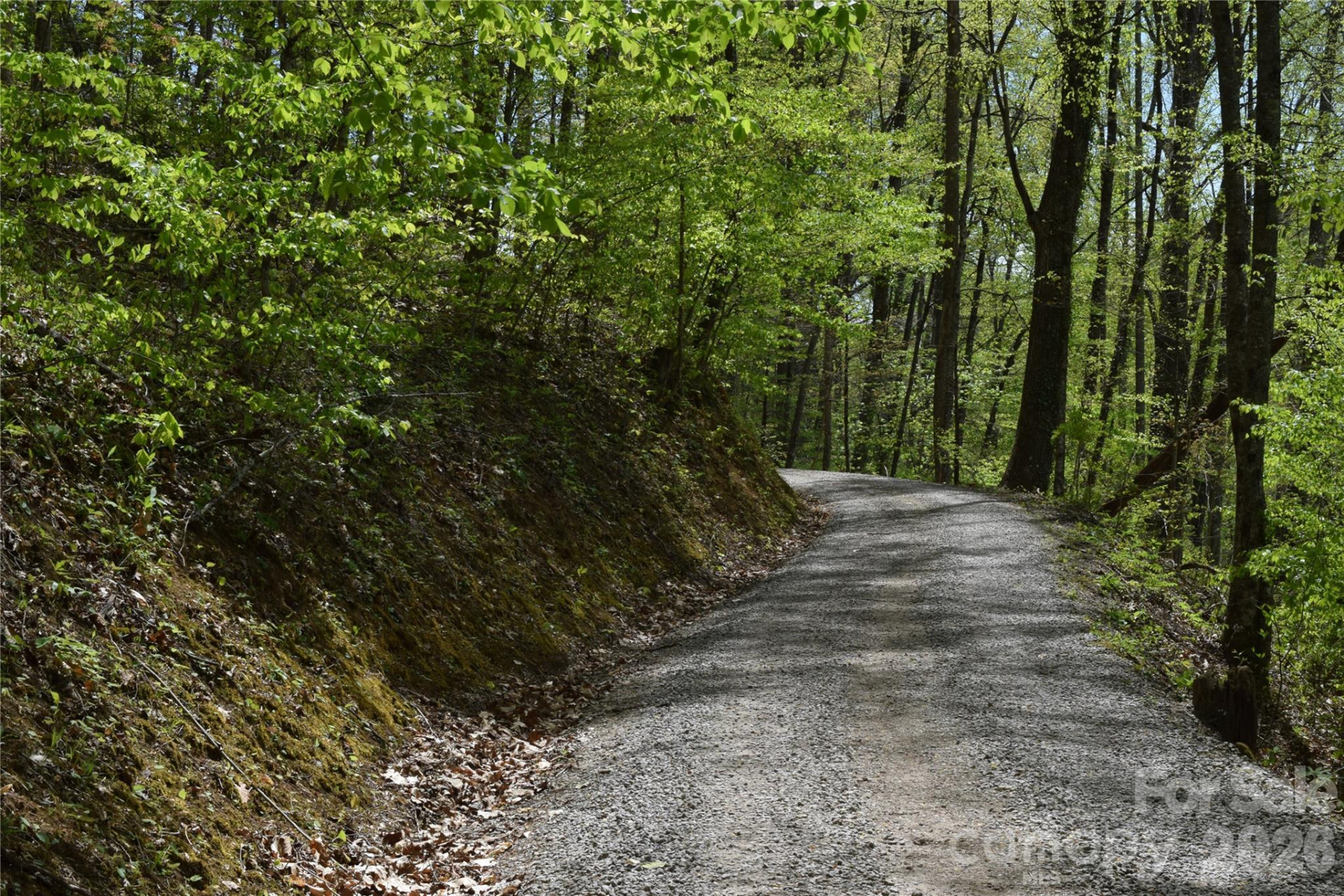 TBD Cabin Flats Road - Photo 12