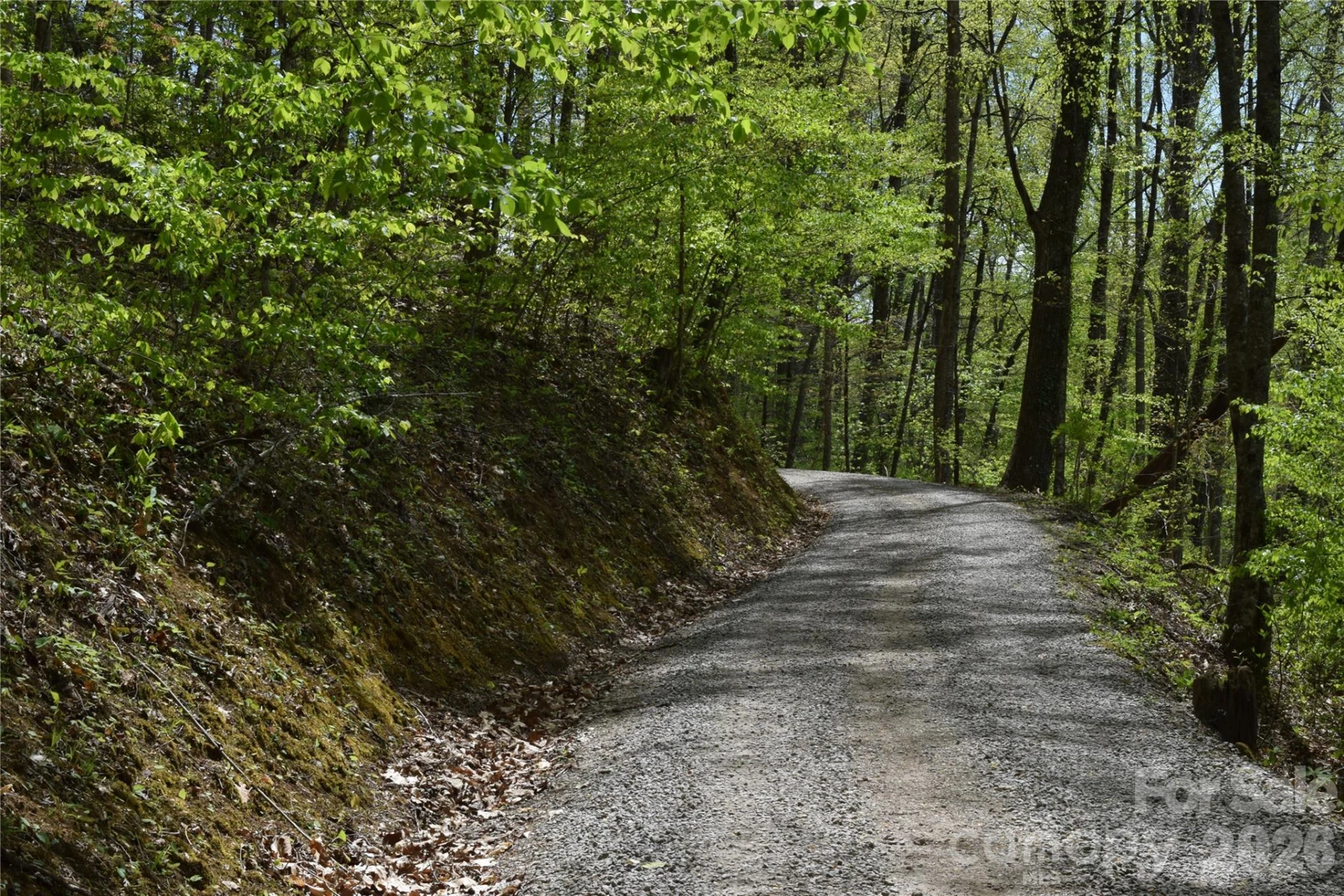 TBD Cabin Flats Road - Photo 12