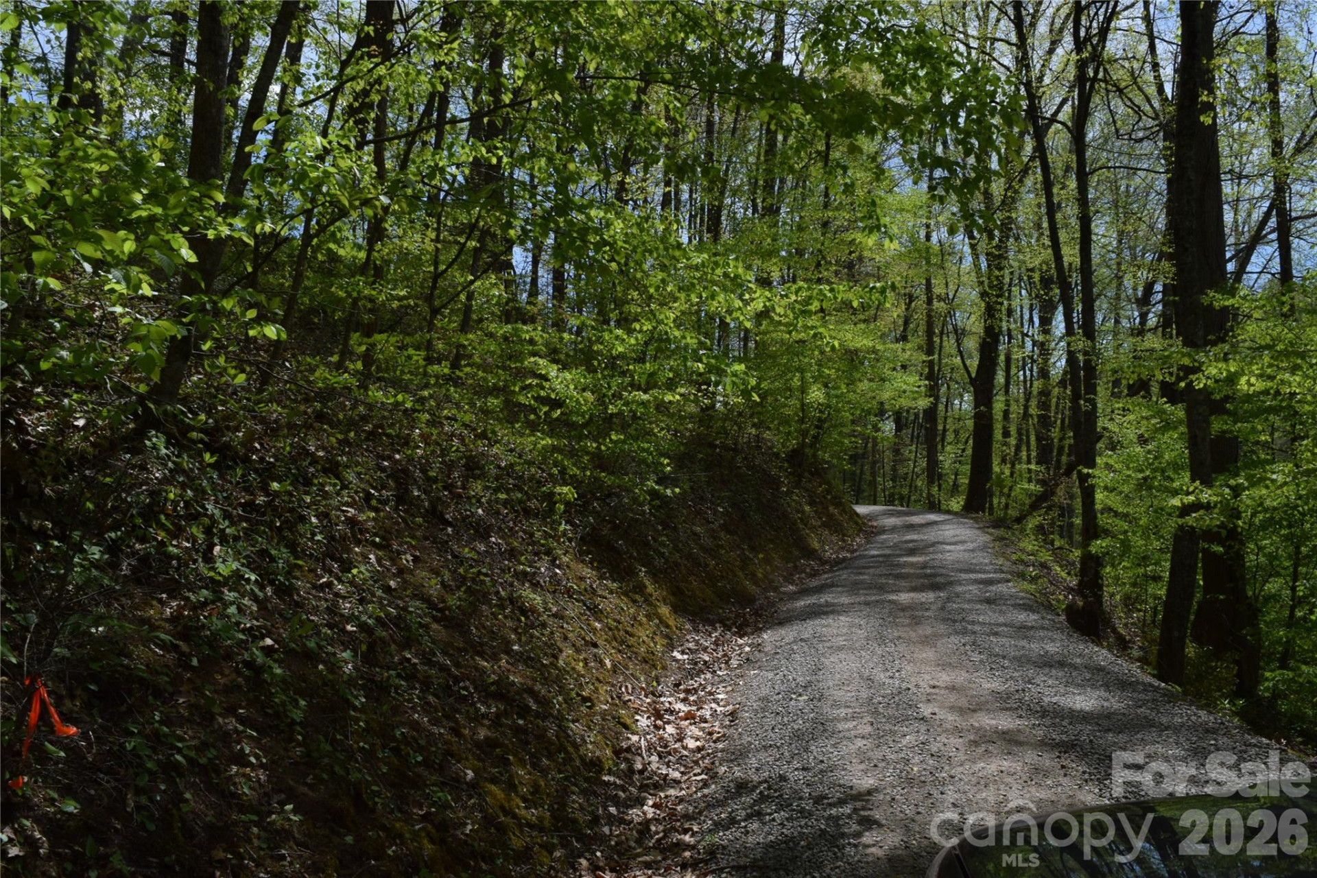 TBD Cabin Flats Road - Photo 13