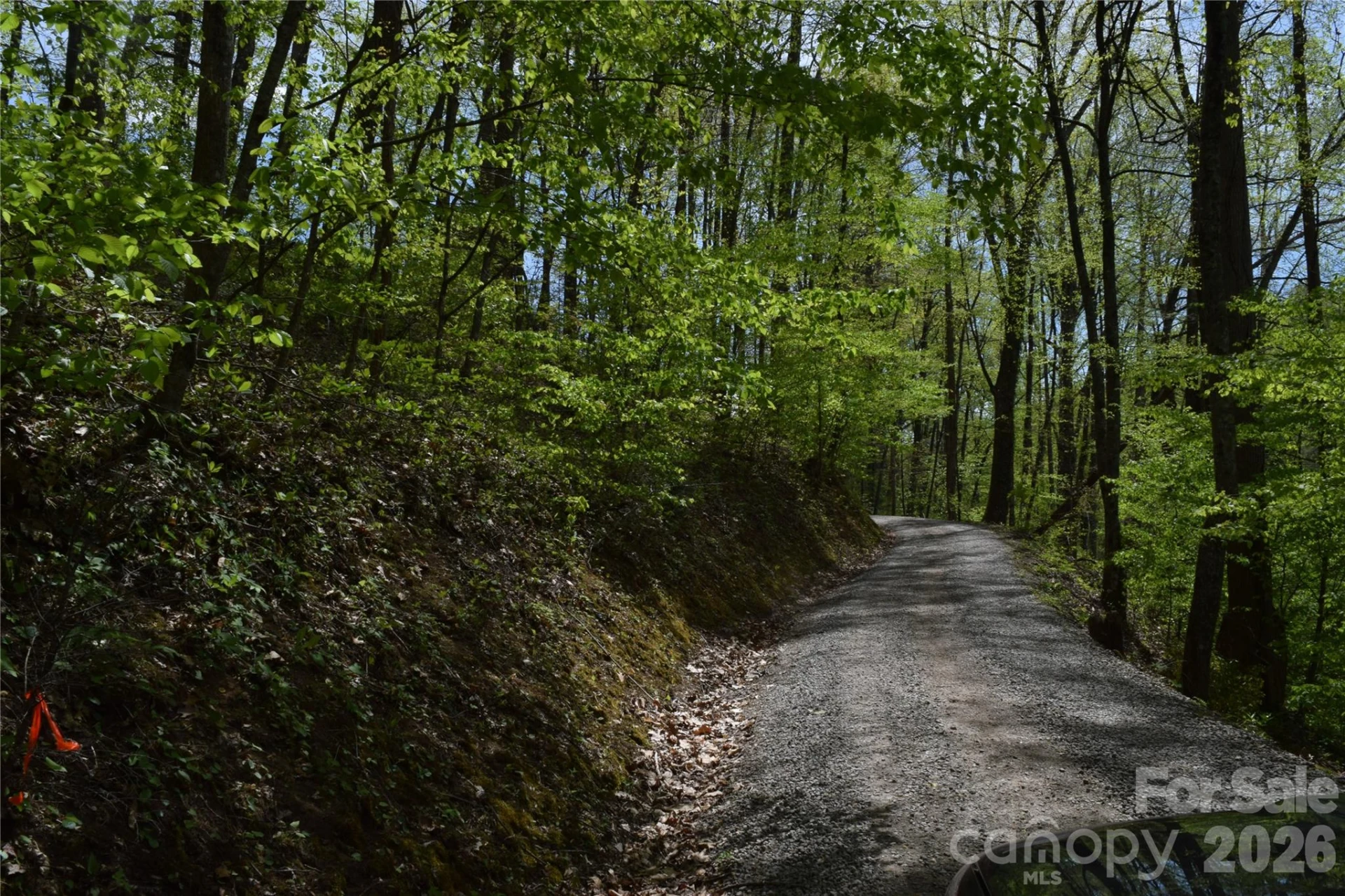 TBD Cabin Flats Road - Photo 13