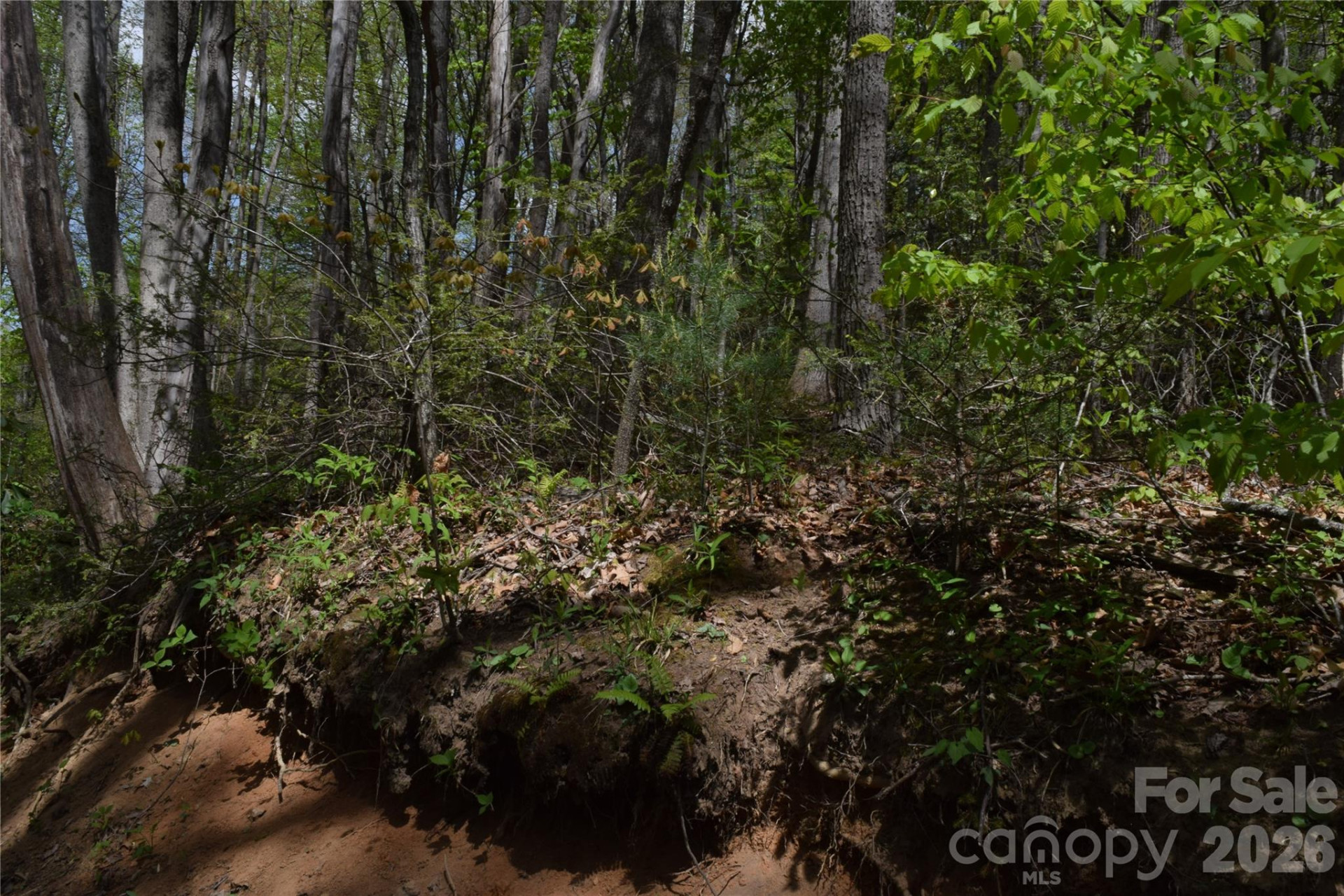 TBD Cabin Flats Road - Photo 14