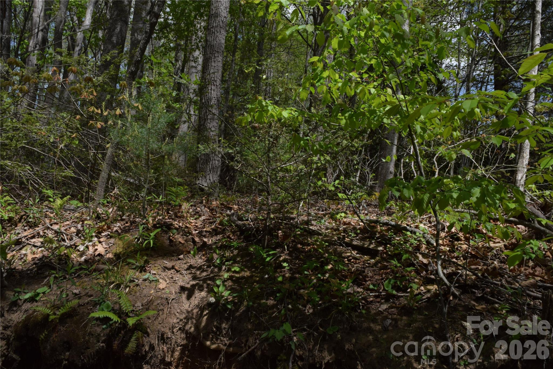 TBD Cabin Flats Road - Photo 15