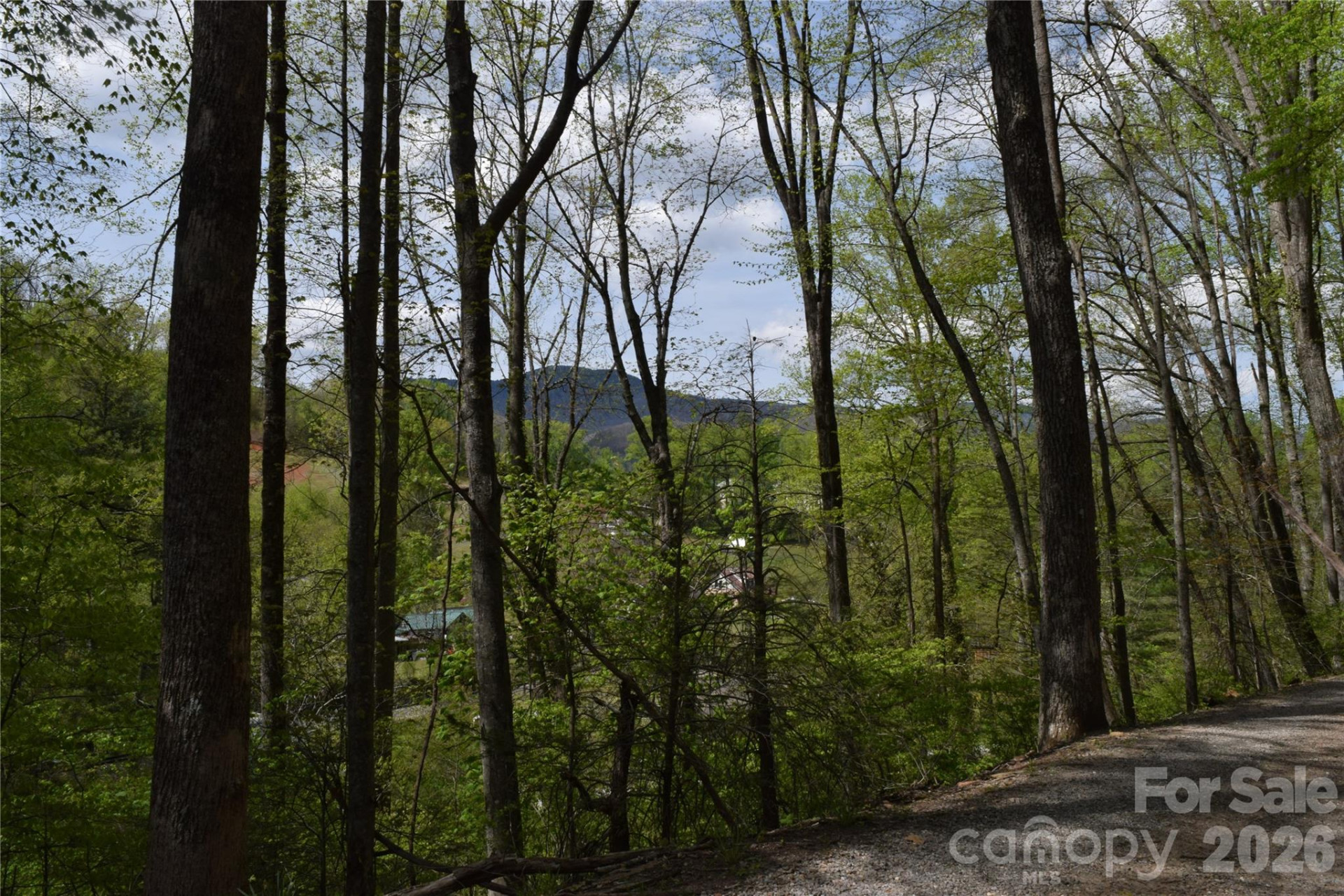 TBD Cabin Flats Road - Photo 16